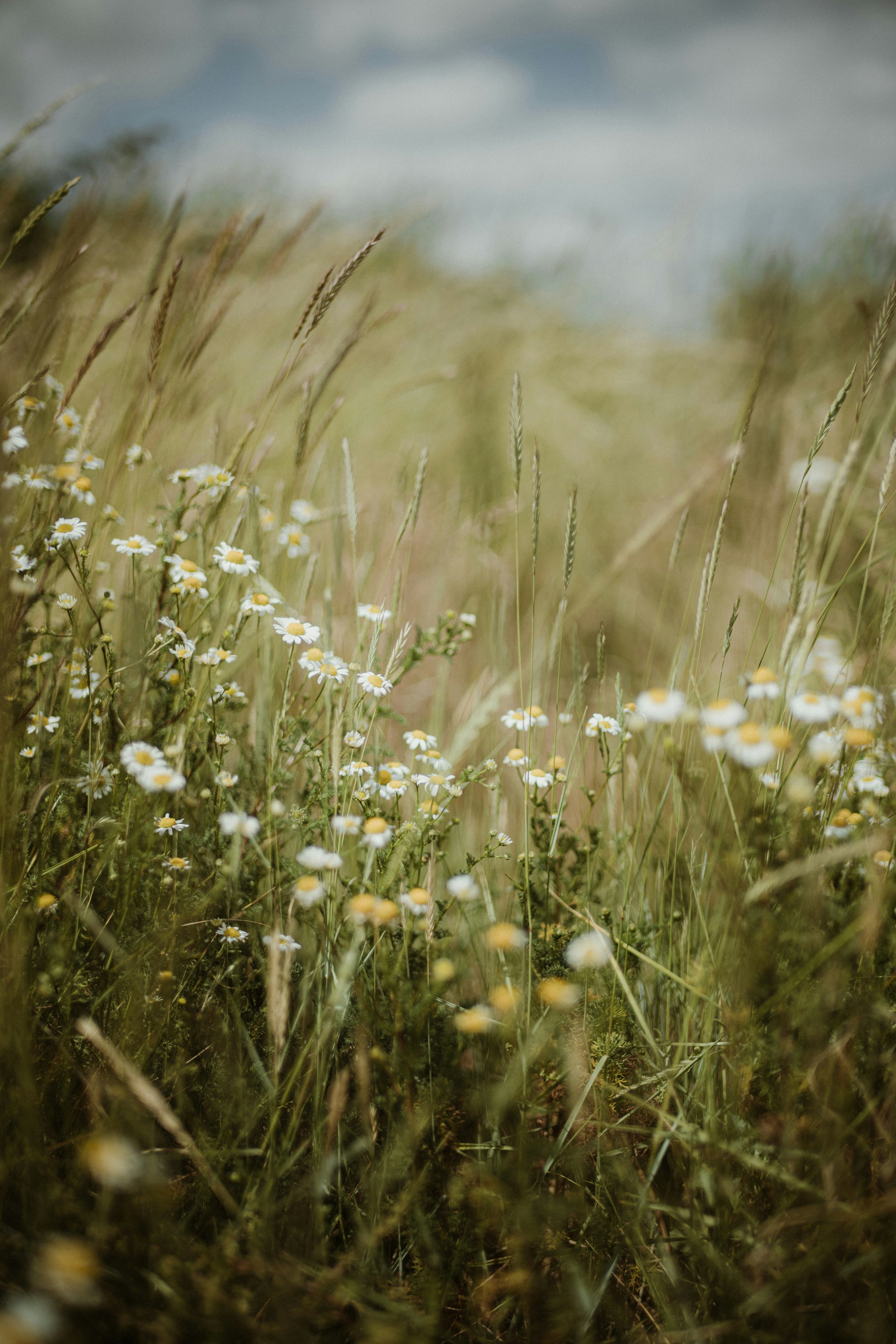 Creativity as an antidote to anxiety