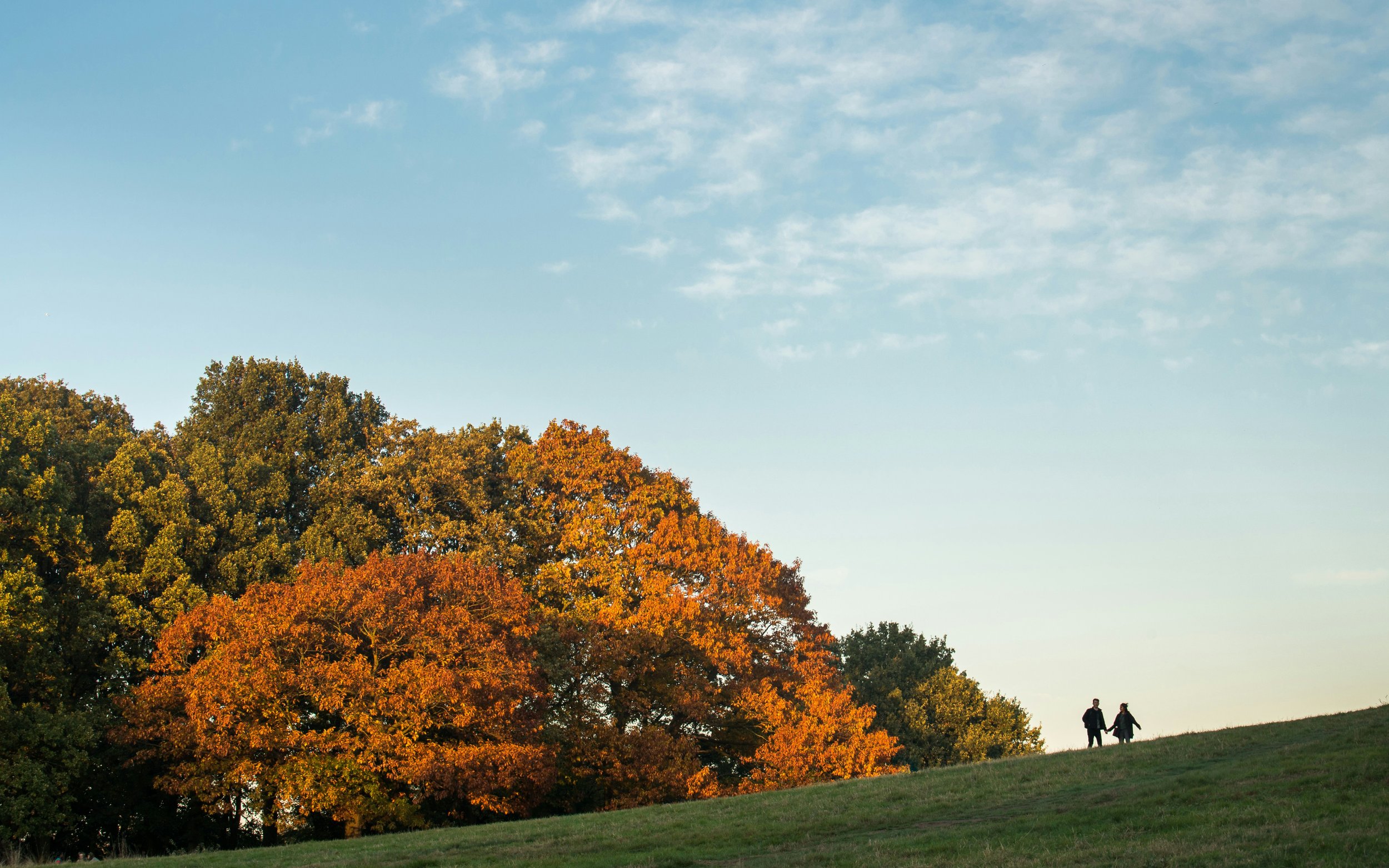 Local date ideas for those picturesque autumn days