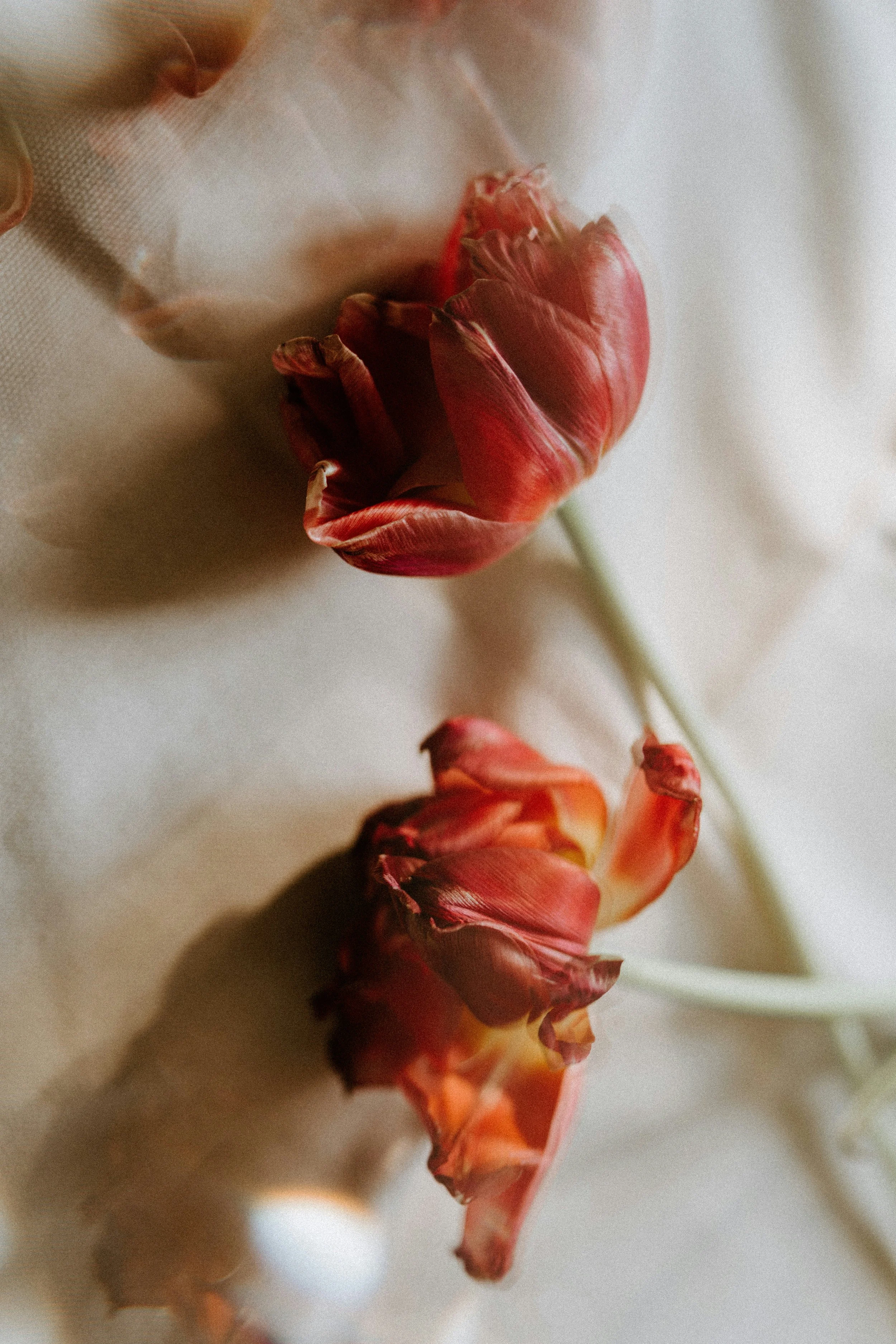 Beyond a single affair: How to heal when sexual behavior is compulsive, featuring Michele Saffier