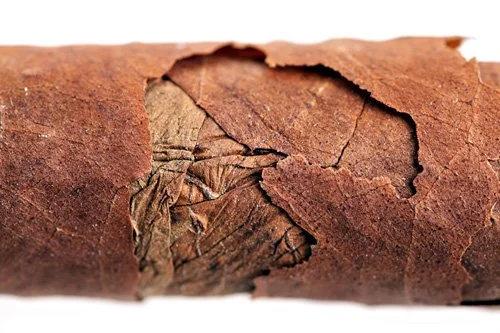 prevent your cigars from cracking