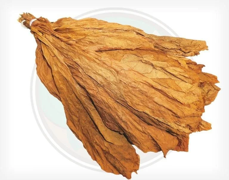 Where to buy Connecticut shade Cigars erie pa