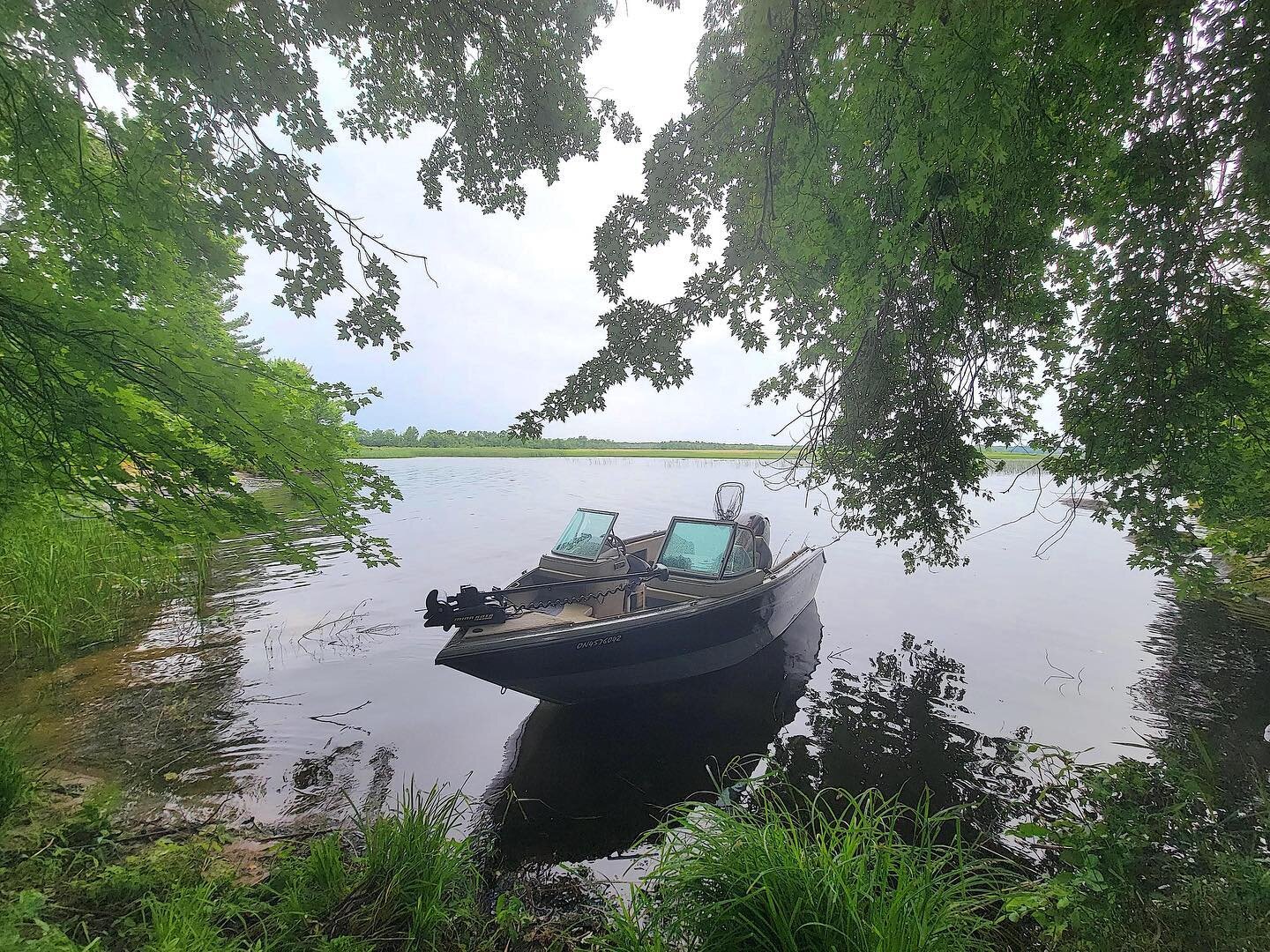 BOOM! Today Nepenthe International closed on our very own 12 acre island! Big plans for this one. It’s undeveloped now, but we’re sure after bringing power and infrastructure, we can turn a big profit. Excited to be a part of this project