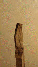 body oil-perfume-beauty-product-video-moody-commercial-reels-photographer-Seattle.GIF
