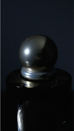 beauty-product-photography-fragrance-perfume-GIF-stopmotion-Seattle-134521.GIF
