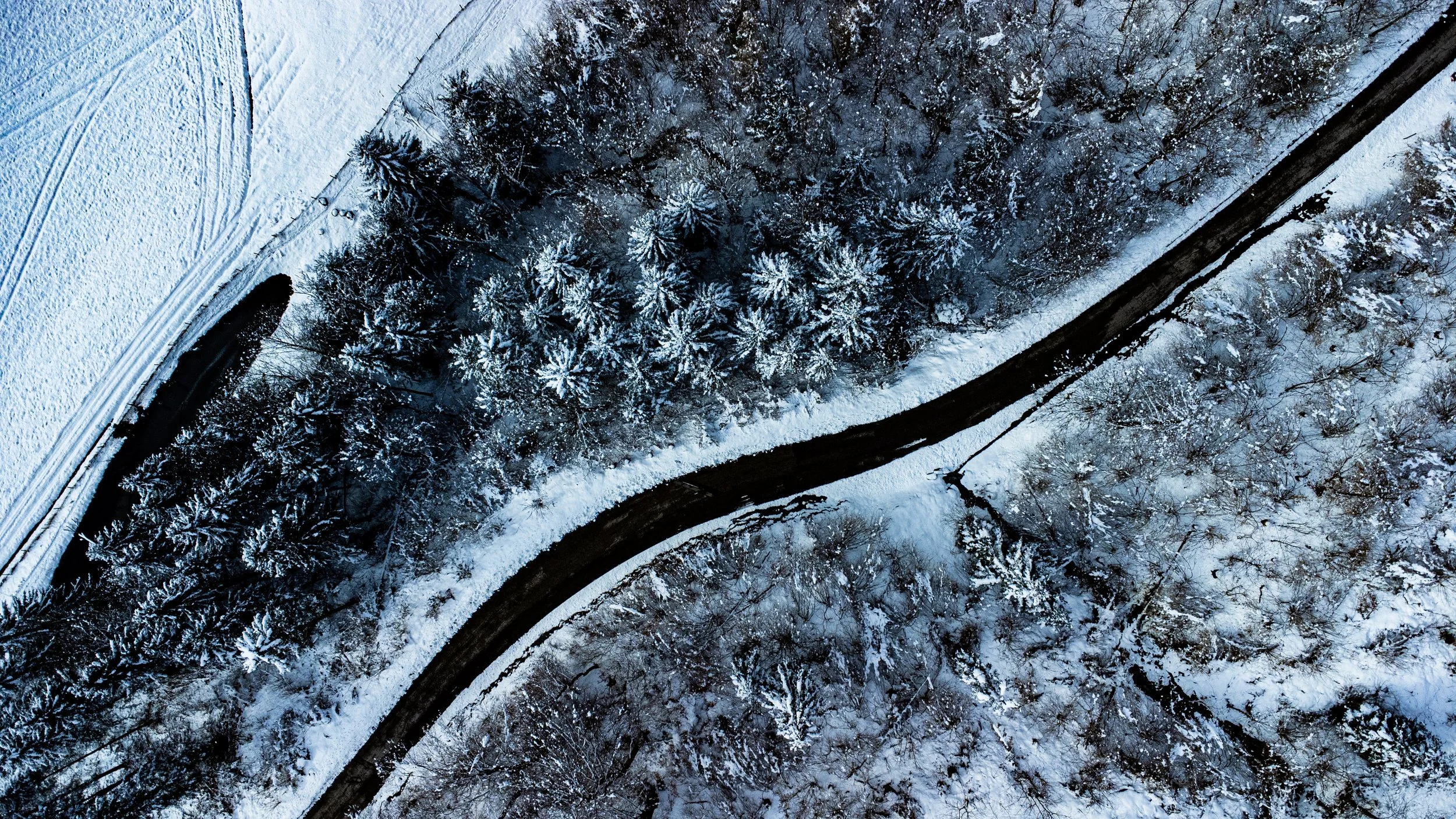 DJI_0081.jpg