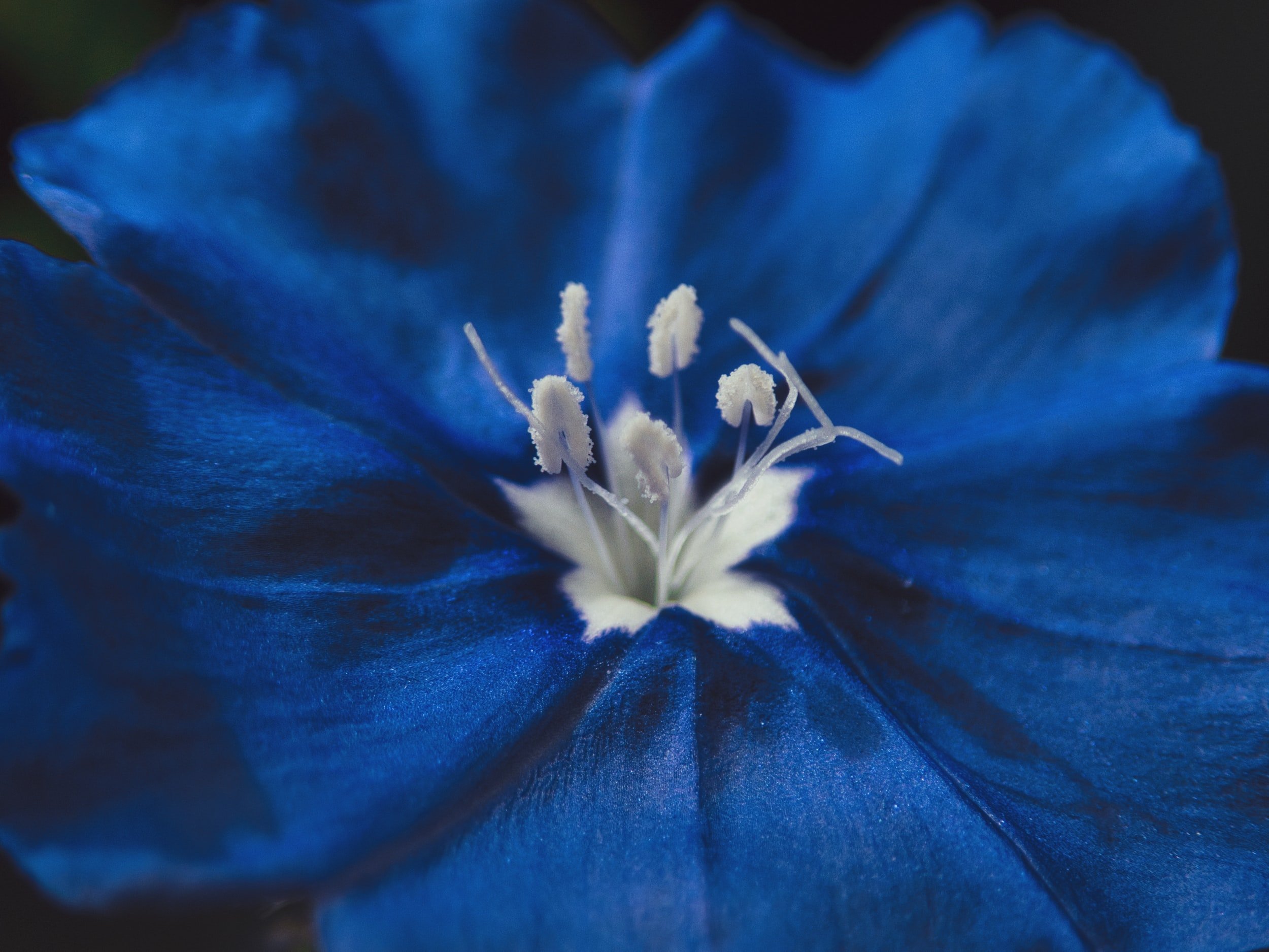 THE IMPORTANCE OF VULNERABILITY