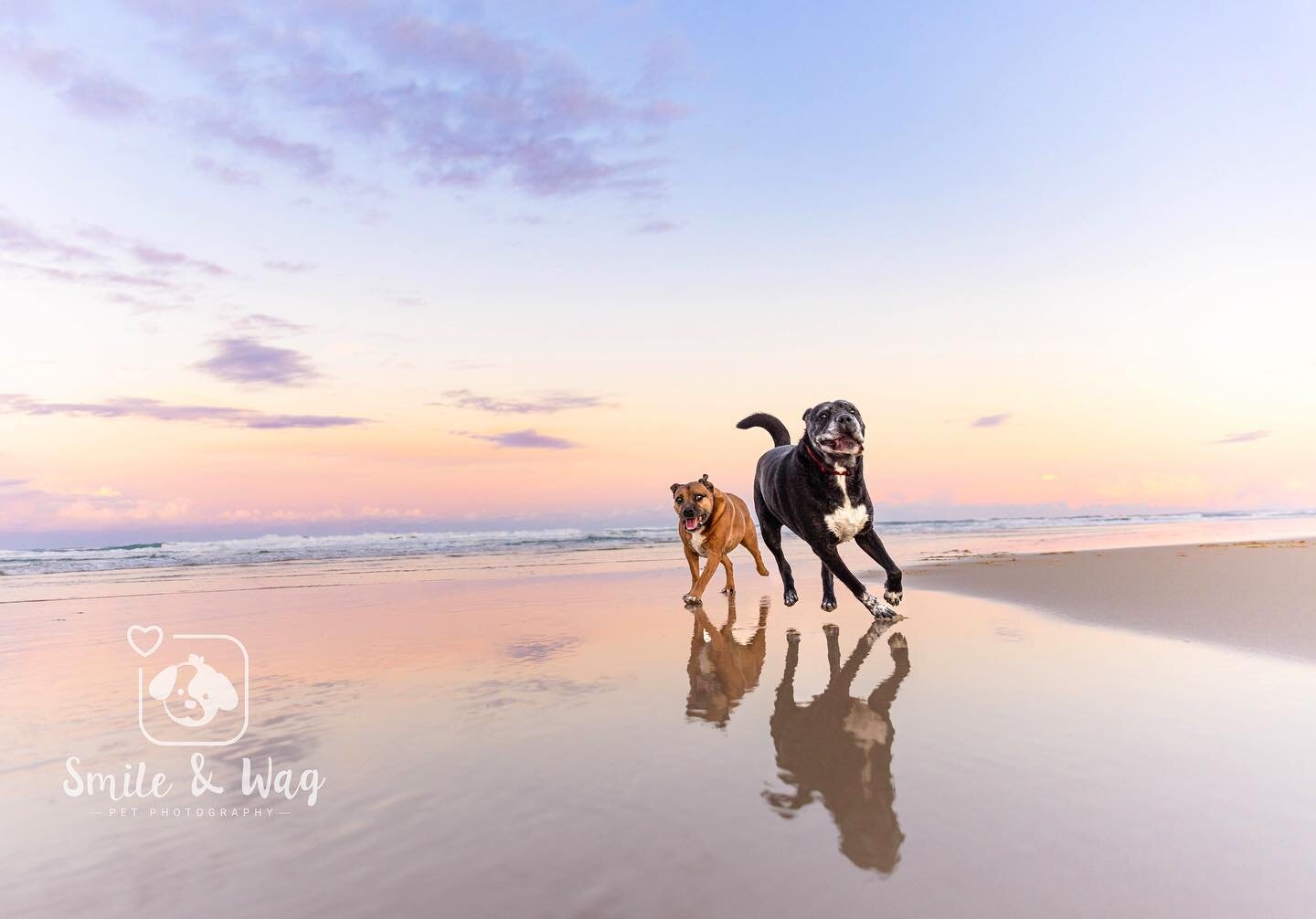 #sneakpeek from Theo &amp; Dexter&rsquo;s sunset beach session at the Gold Coast ☀️🏝🐚
 
It was hard choosing a photo for a sneak peek as there are so many amazing shots of these boys, and the amazing sunset just made it even more magical ✨
 
Dex is