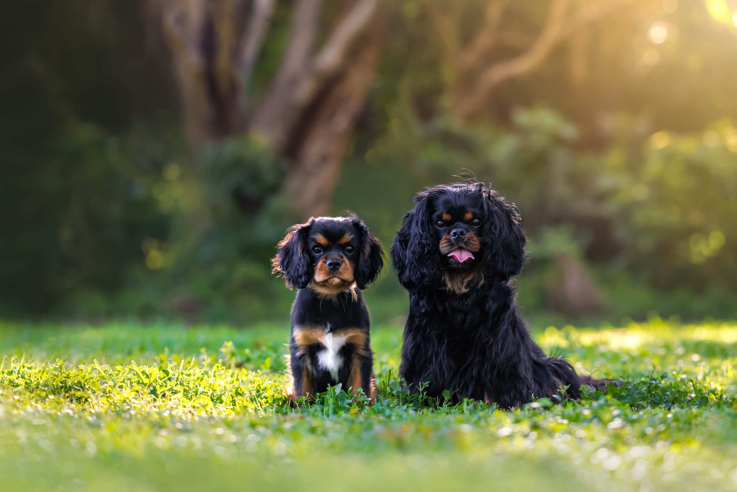 0L1A8959-Edit-Edit.jpg