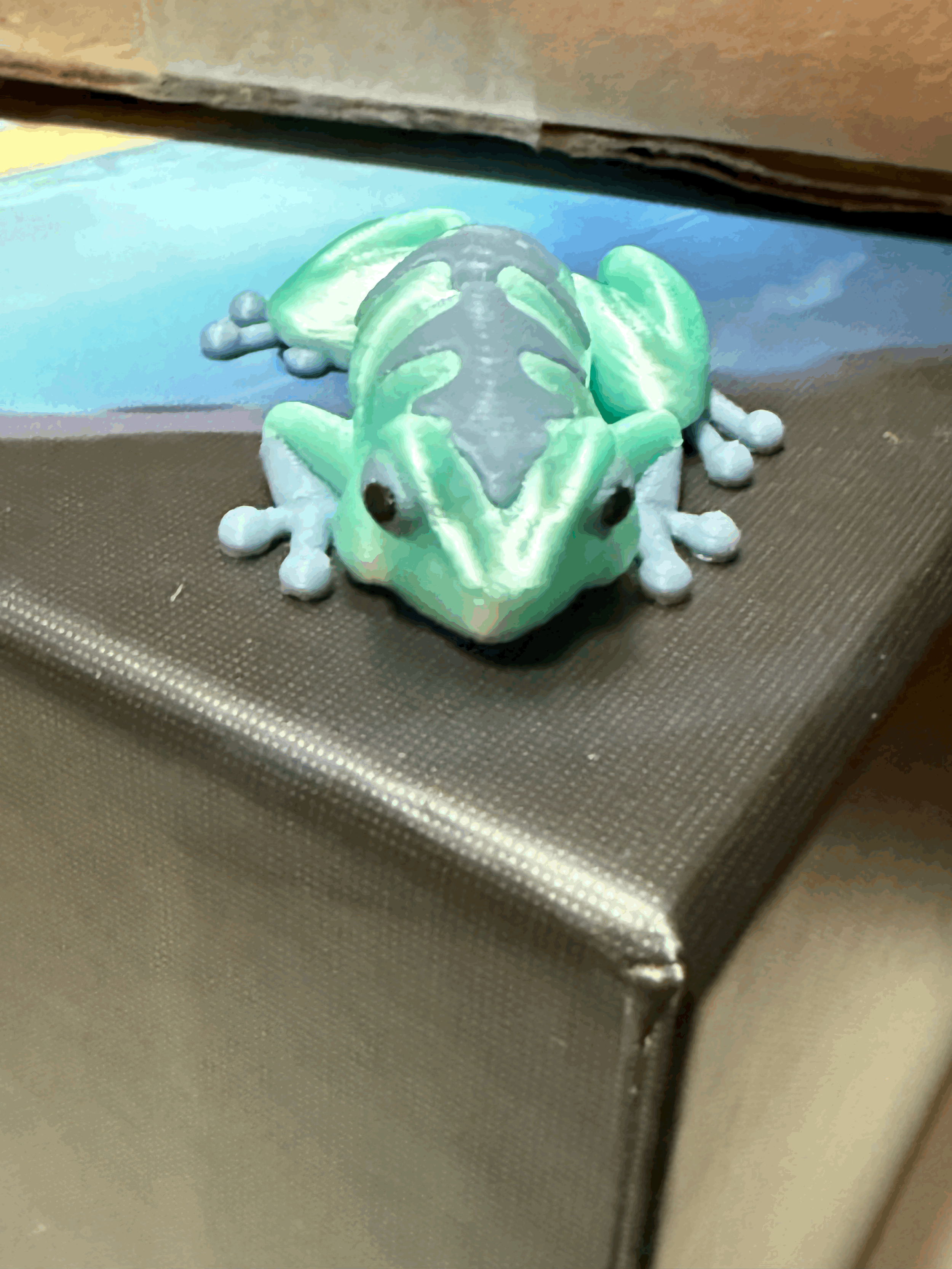 tempImageqo6LNP.gif