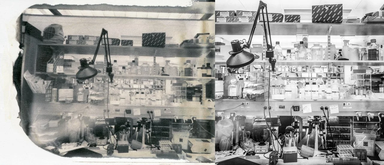 RoHC_202.jpg