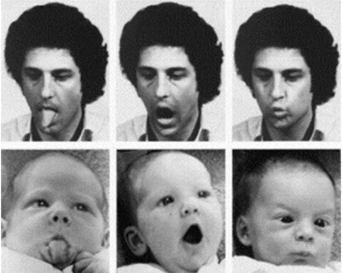 Photography and the Feelings of Others From Mirroring Emotions to the