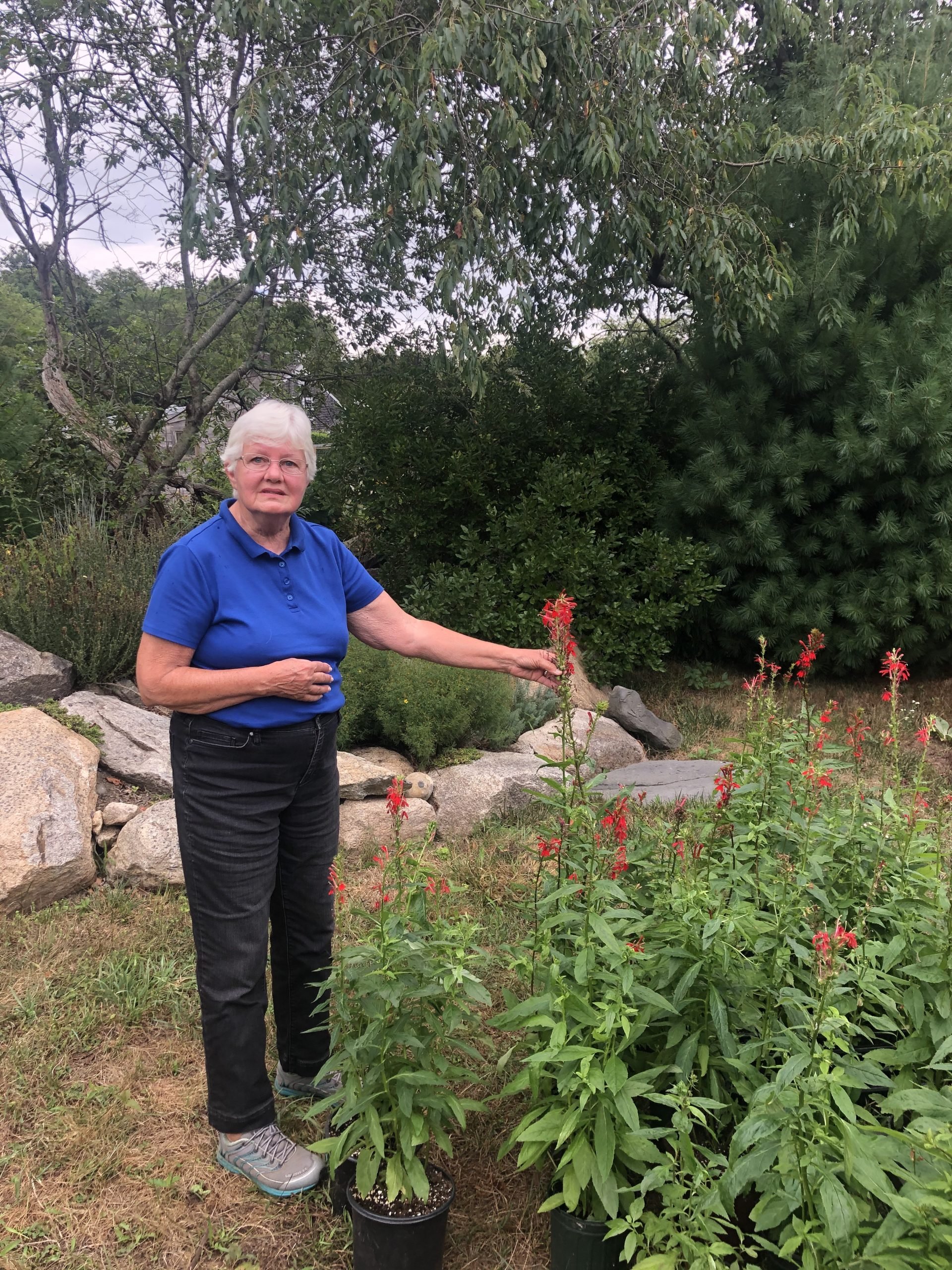 Marty and Dick Fisher’s Garden Summer 2020