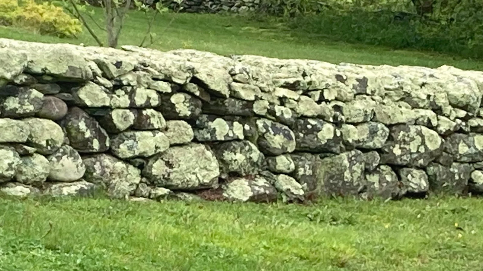 Stone Wall Stewards - the new group in  town