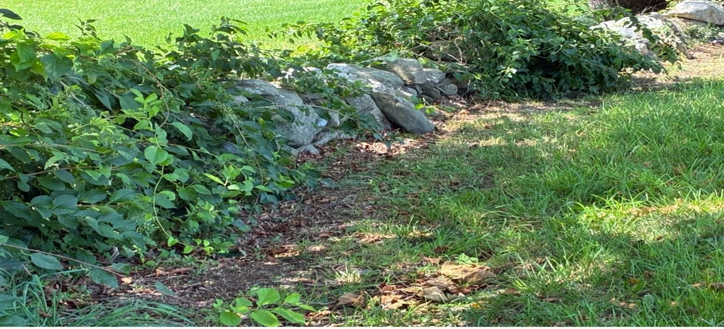 DIY Stone Wall Repair Workshop