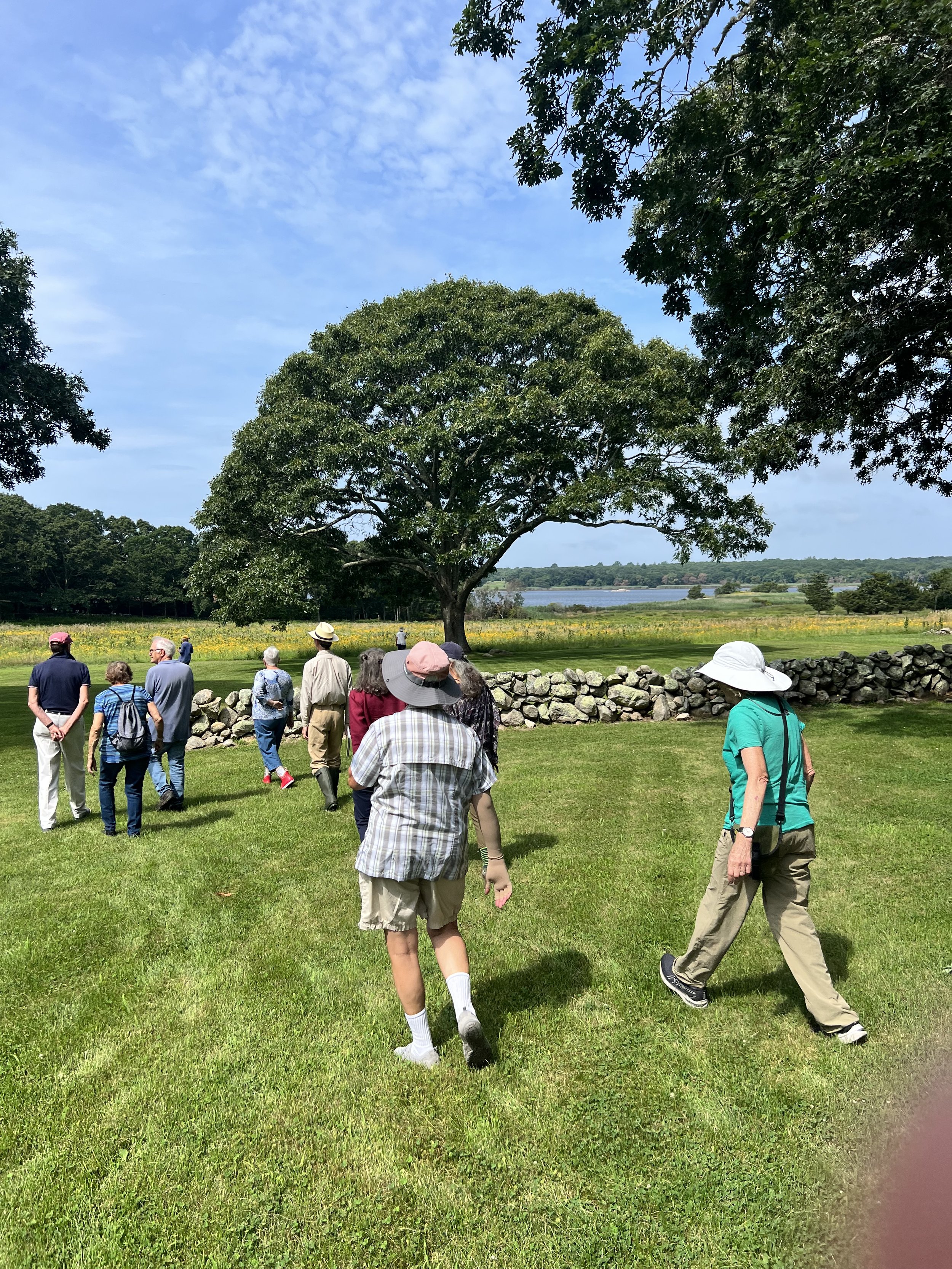 Meadows 1-2-3 with Kathy Connolly