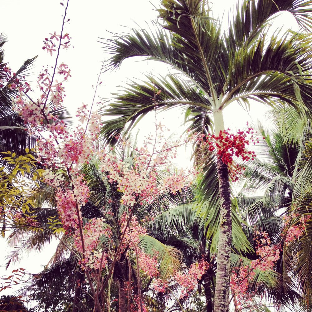 Louang Prabang2.jpeg