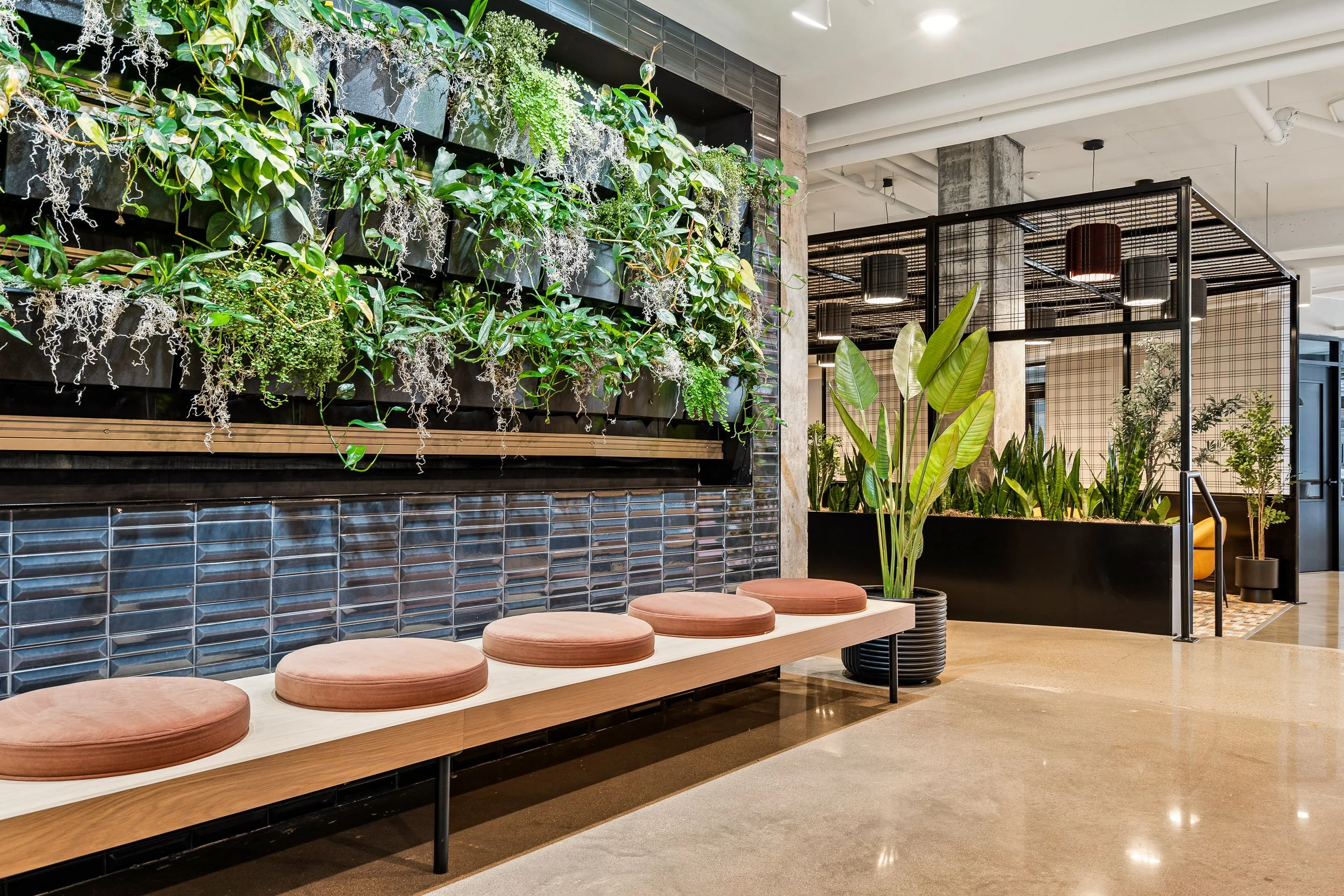 485 Malcolm Ave SE Interiors-Web-9.jpg