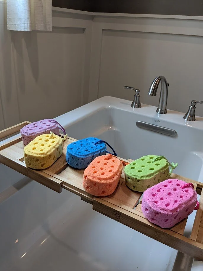 Soap Sponge.jpg
