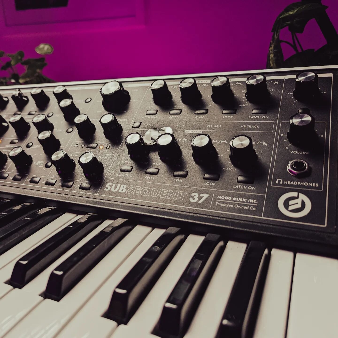 Bienvenido de vuelta querido #subsequent37 @moogmexico 

Ya casi es media noche! Ya saben que va a pasar ! 

#MaquinasDeMediaNoche @moogsynthesizers