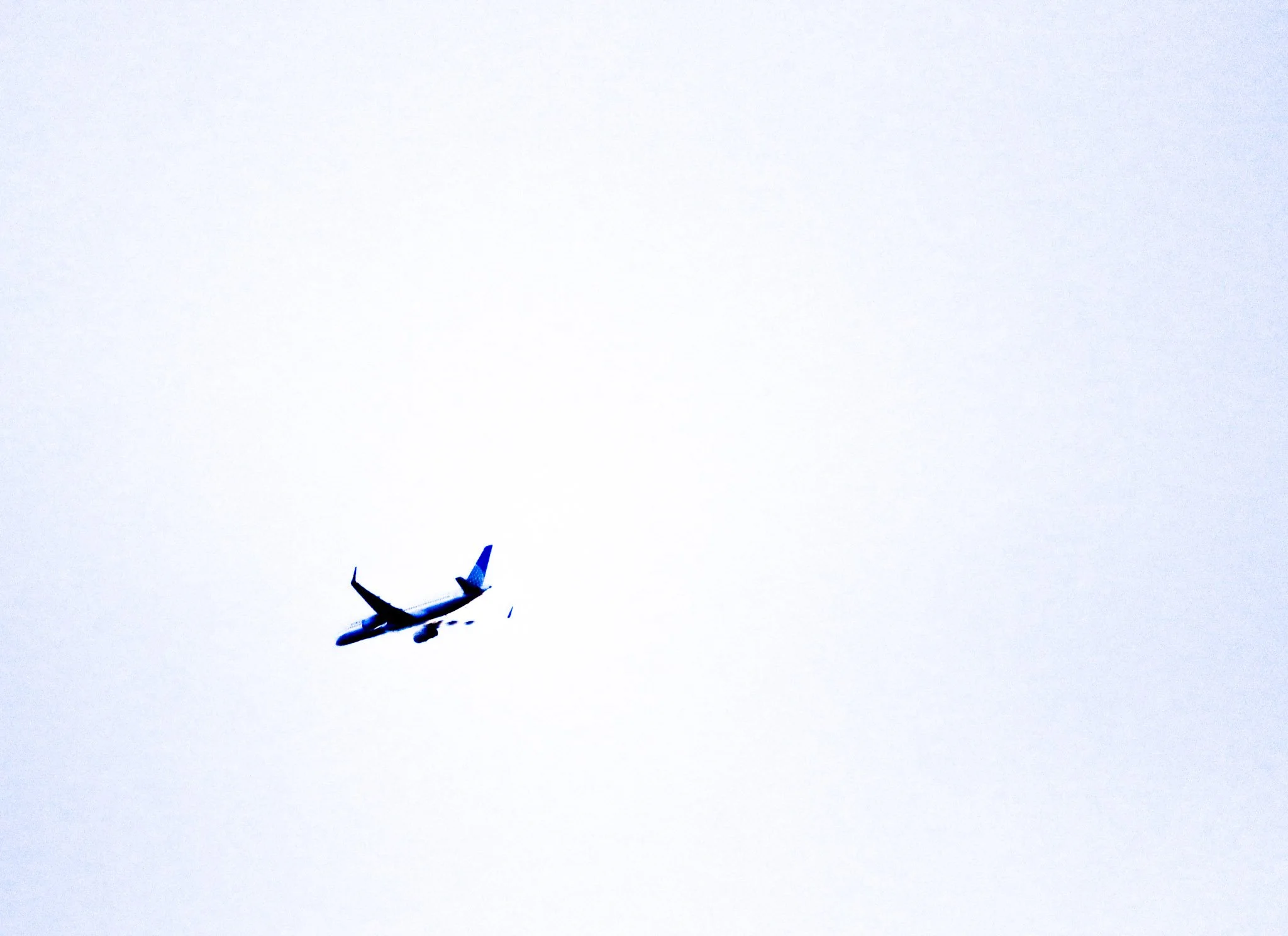 4-IMG_5246.jpg