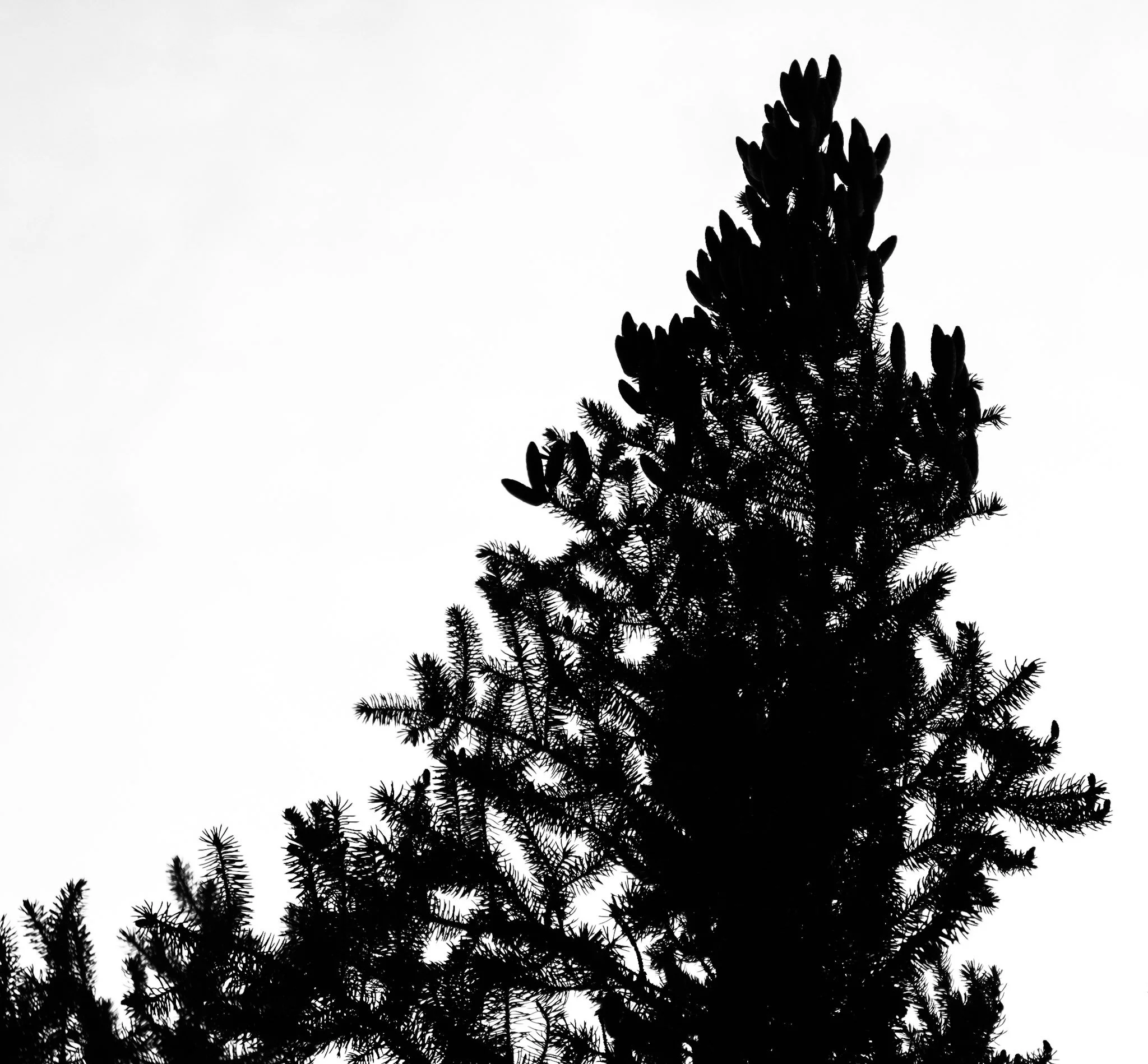 12-IMG_5085.jpg