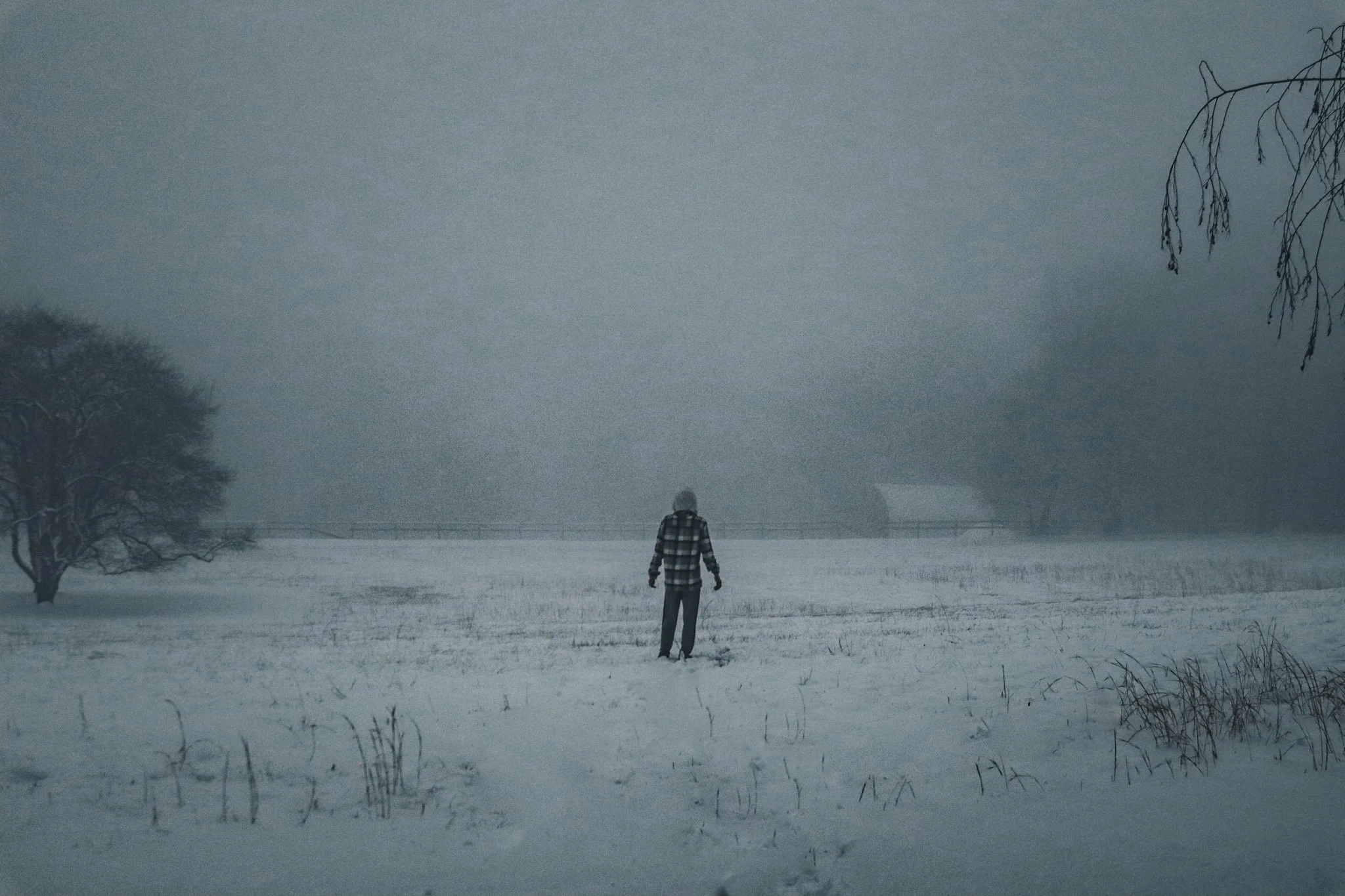 6-IMG_9551.jpg