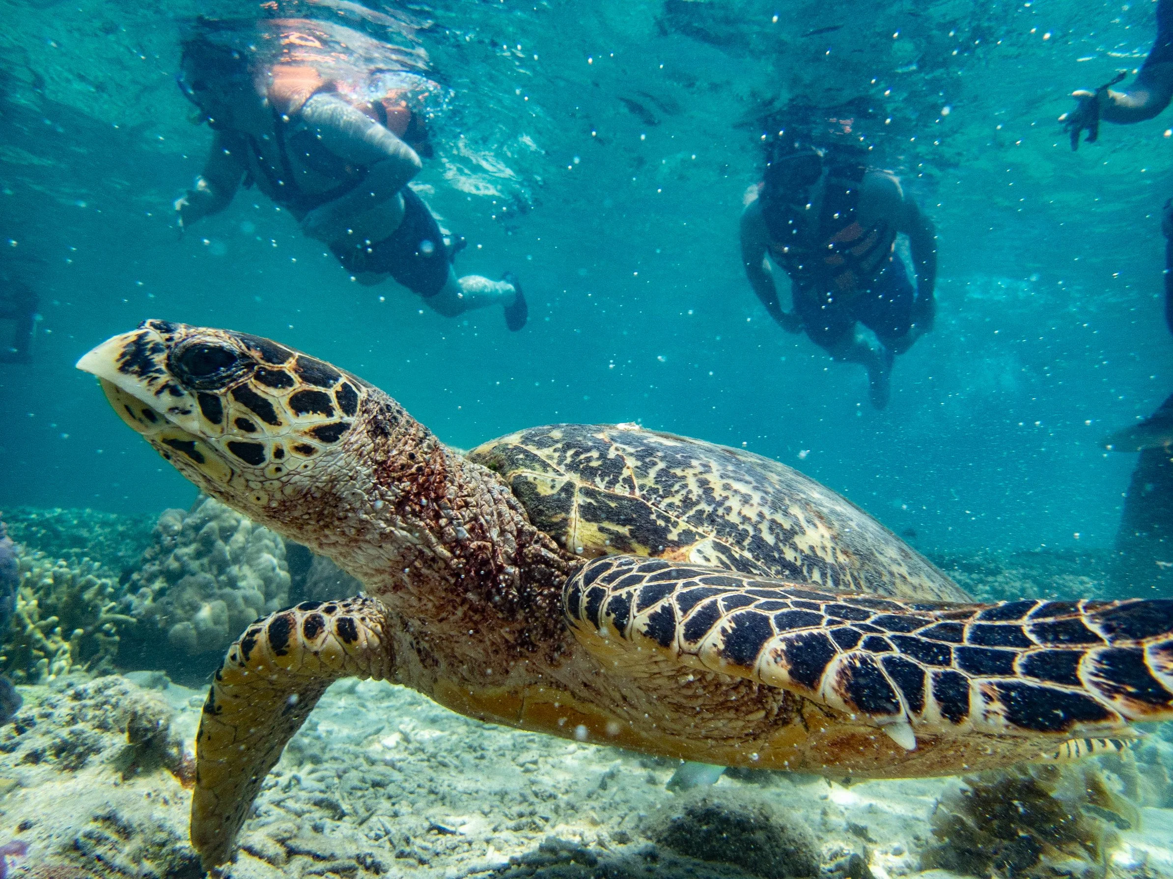 photograph by Elias Ruta (Coron, Philippines)
