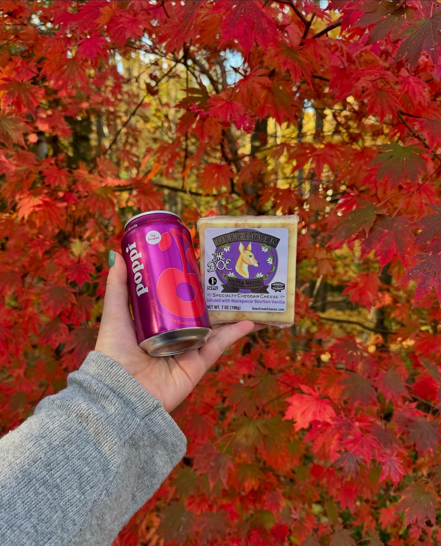 Cheers to the first day of November!🍁 We&rsquo;re enjoying the last few days of beautiful fall color here in Wisconsin, paired perfectly with The Doe and @drinkpoppi Cherry Cola. Would you try this NA pairing?