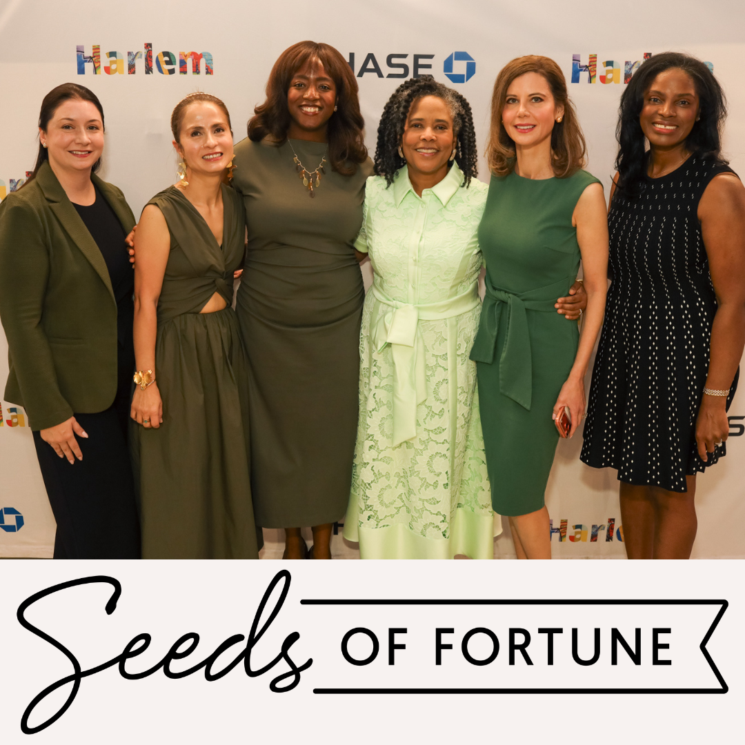 Seeds of Fortune: Wealth Exchange Awards at Chase Harlem