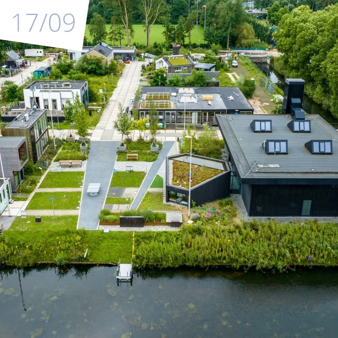 Studiedag Bouwen met lokaal hout, stro en riet