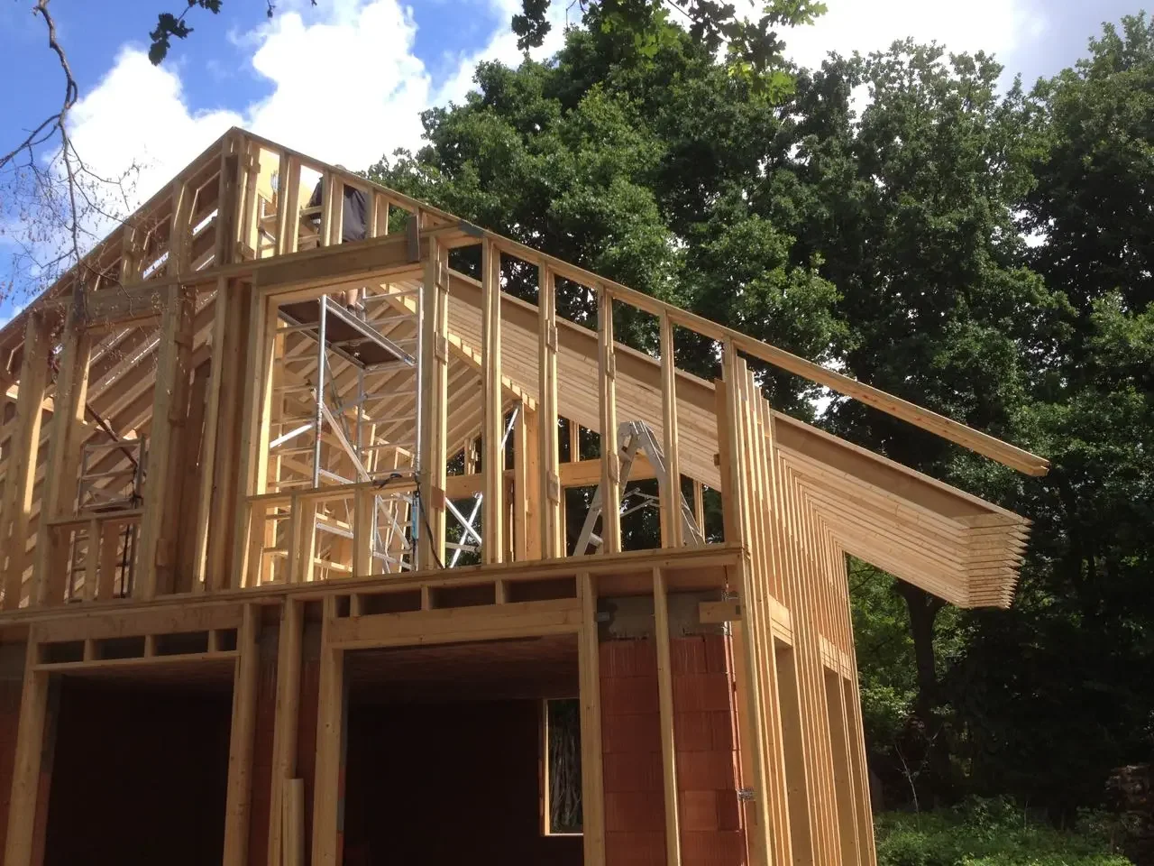 HOTA Albrecht Durer 6.webp