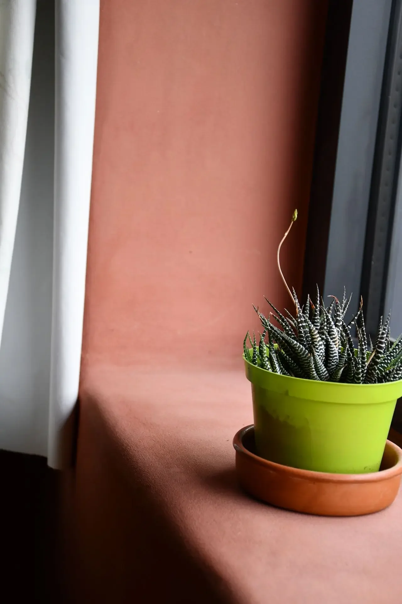 HOTA Grote Heirent 13.webp