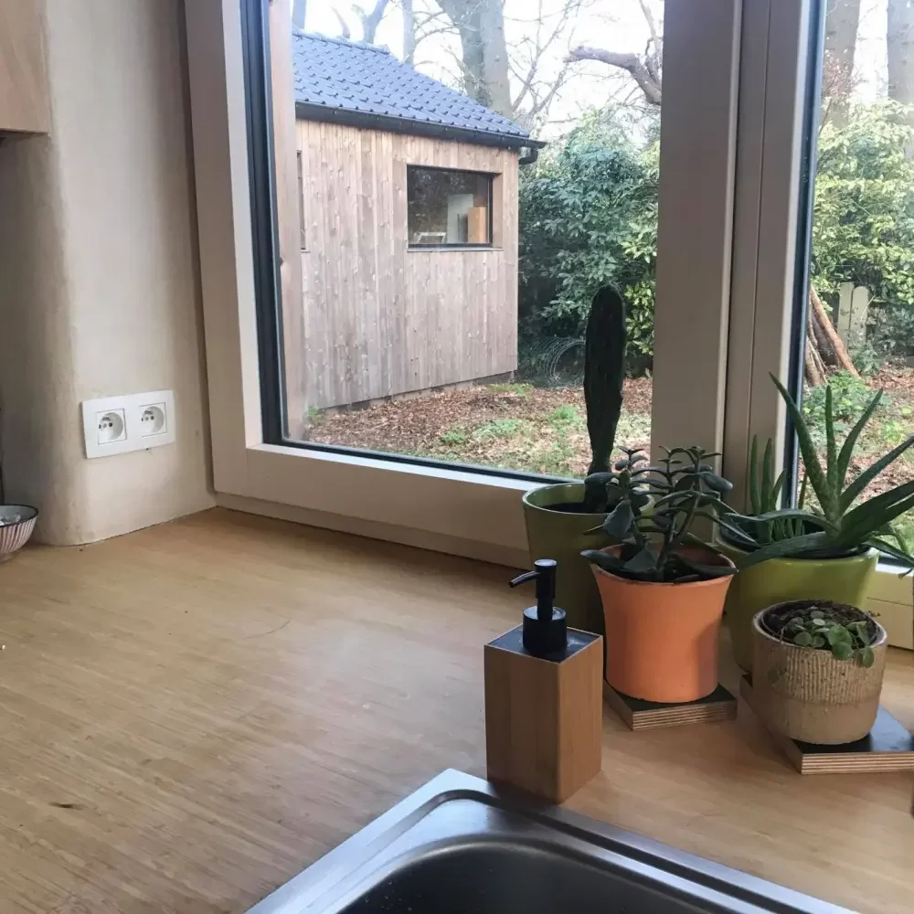 HOTA Albrecht Durer 21.webp