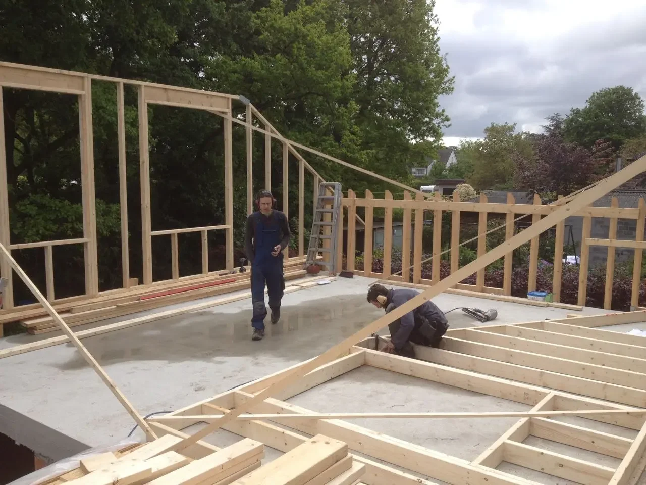 HOTA Albrecht Durer 4.webp