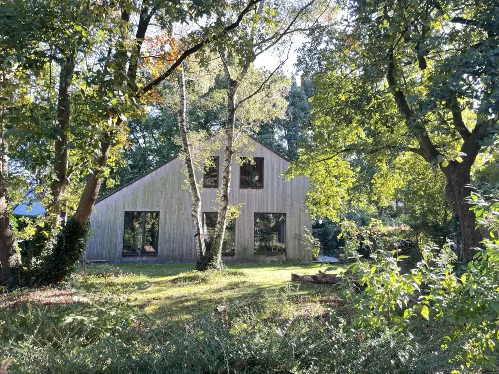 houtskelet in het groen