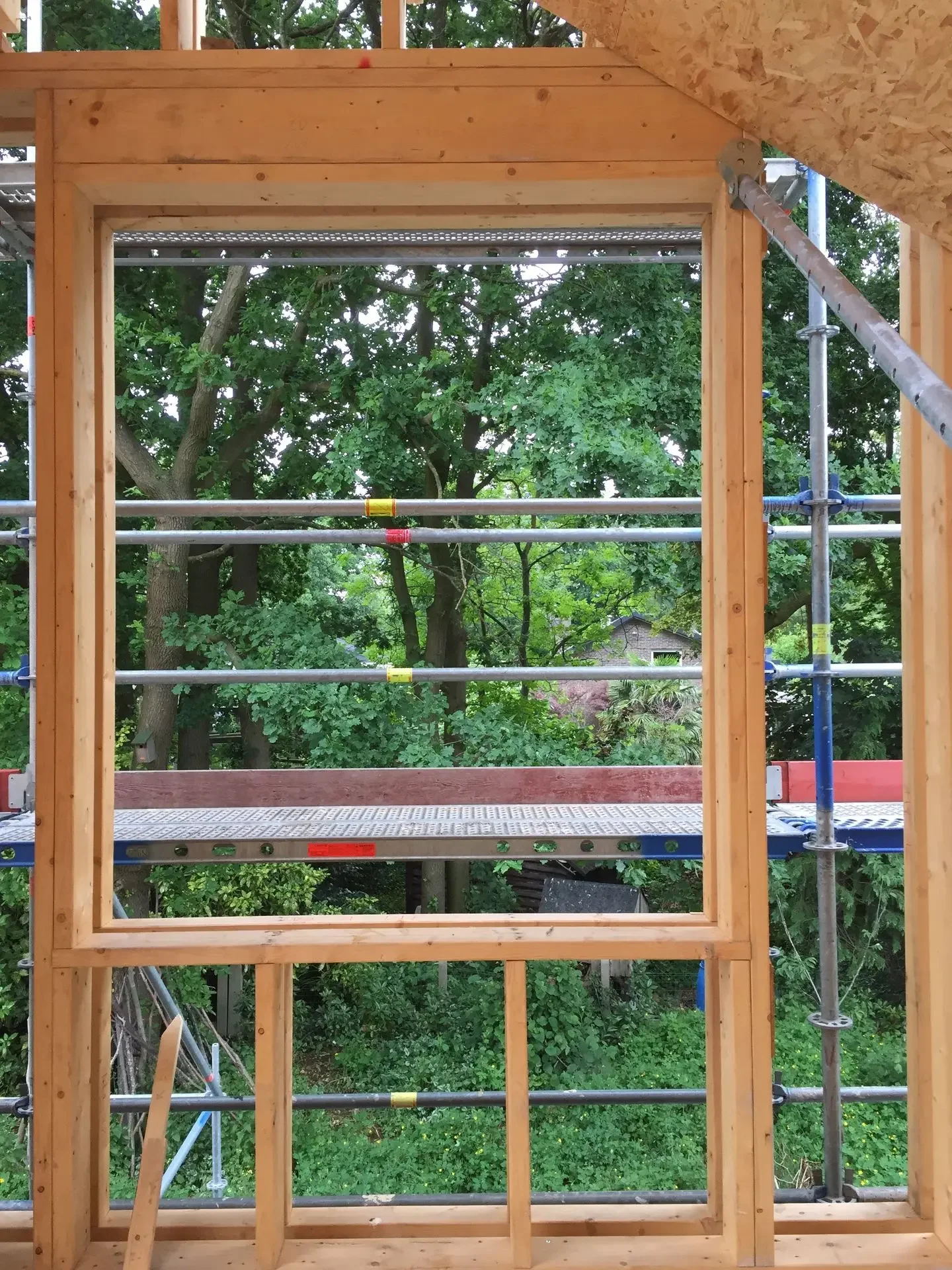 HOTA Albrecht Durer 3.webp