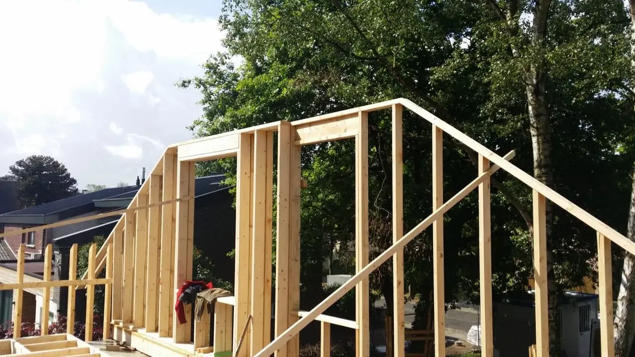 HOTA Albrecht Durer 2.webp