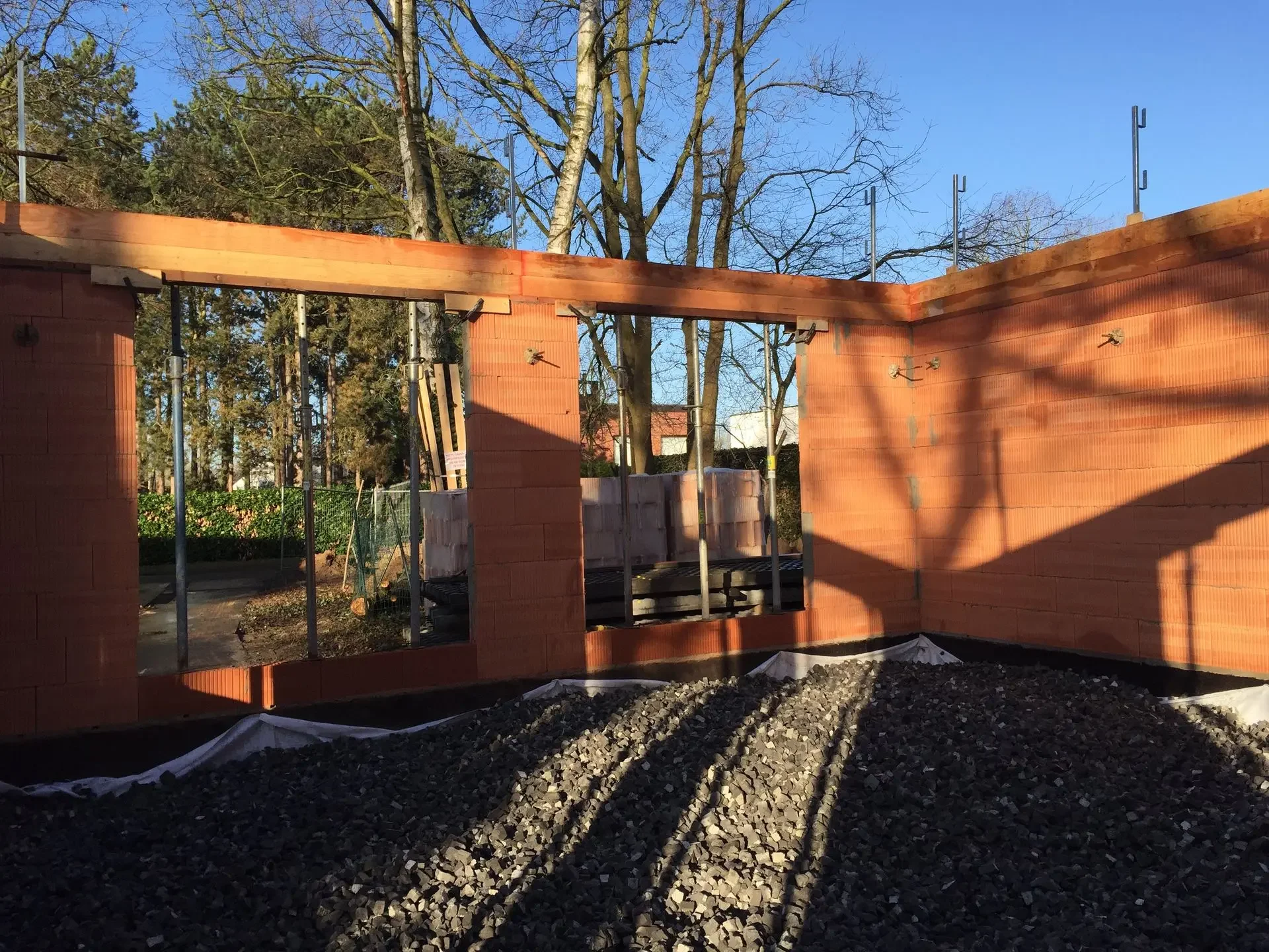 HOTA Albrecht Durer 1.webp