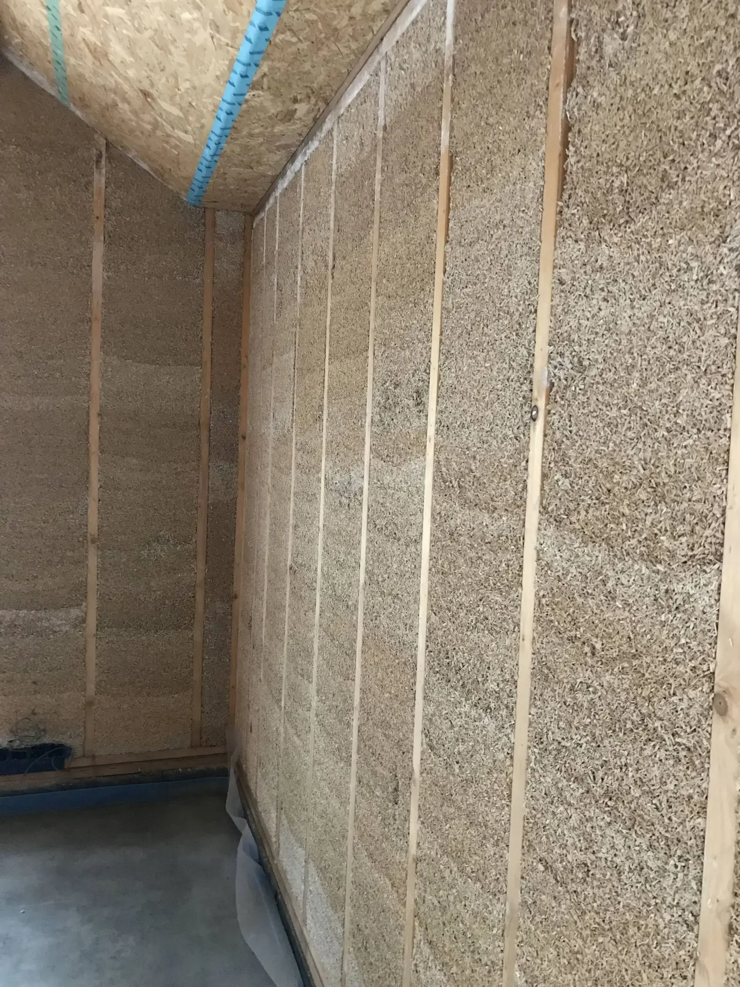 HOTA Albrecht Durer 9.webp