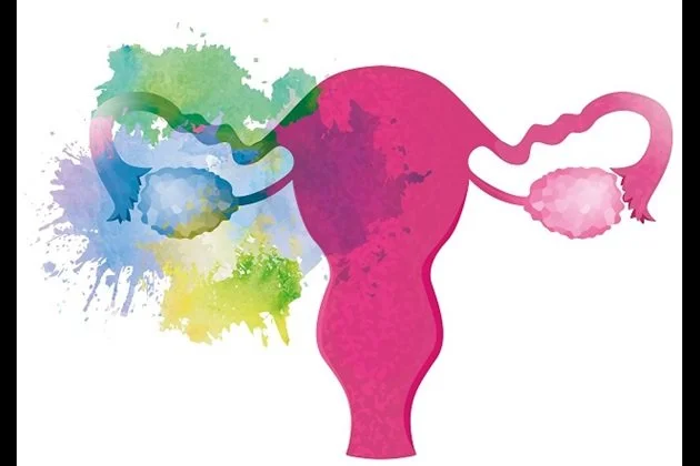 A colorful watercolor illustration of a female reproductive system, including the uterus, fallopian tubes, and ovaries.