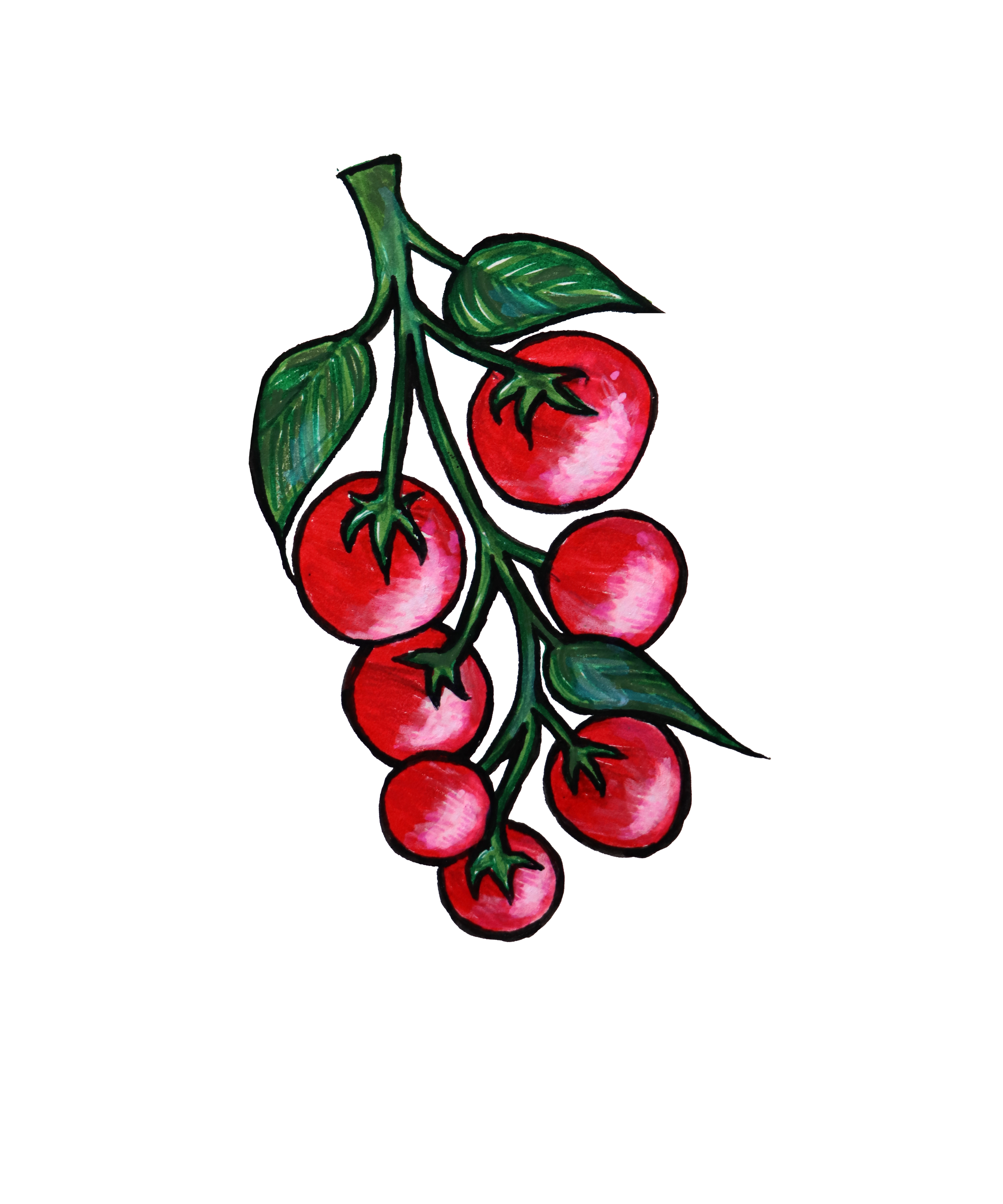tomatoes