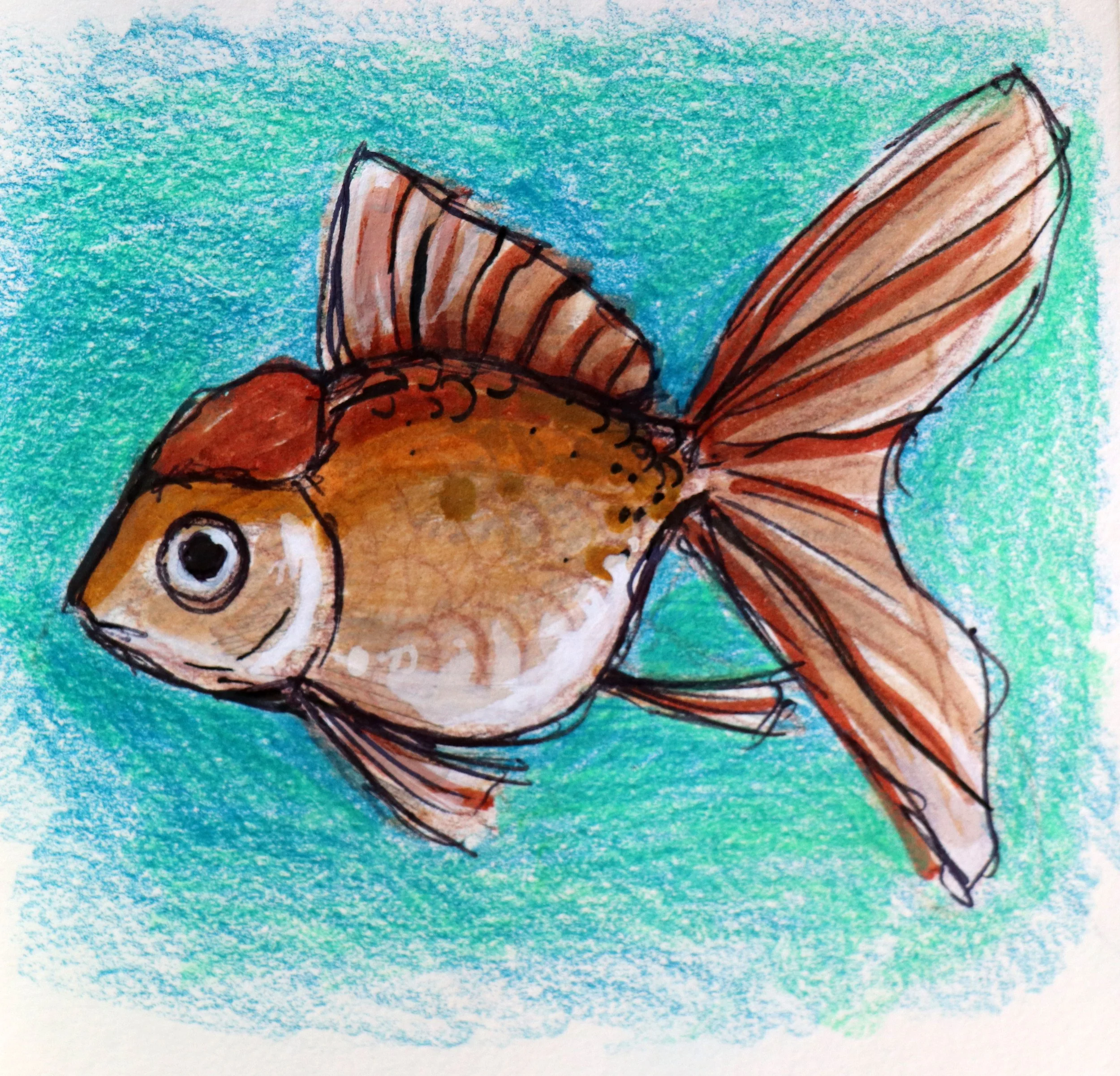 Chocolate Oranda Goldfish Sketch