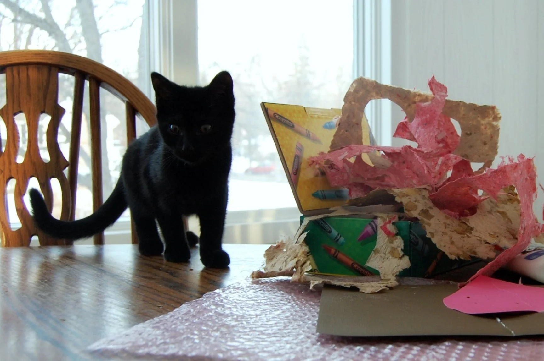 Black kitten on wooden dining table next to torn colorful paper and cardboard.