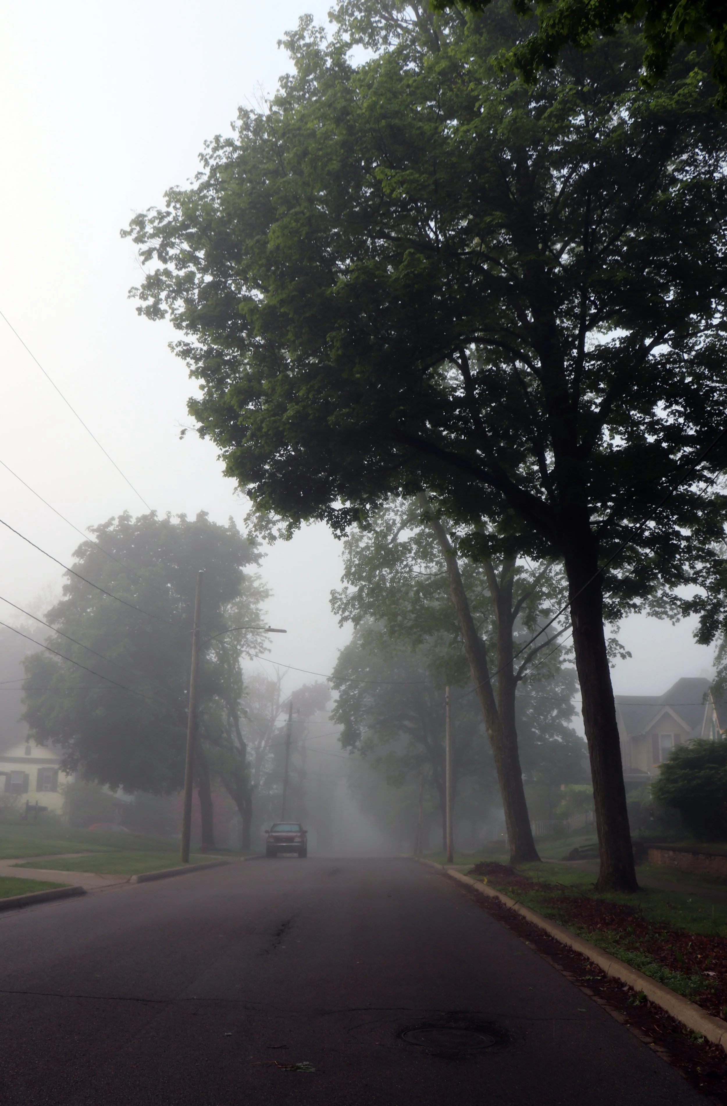 Moody street photography featuring low visibility and heavy fog in Marshall, Michigan.