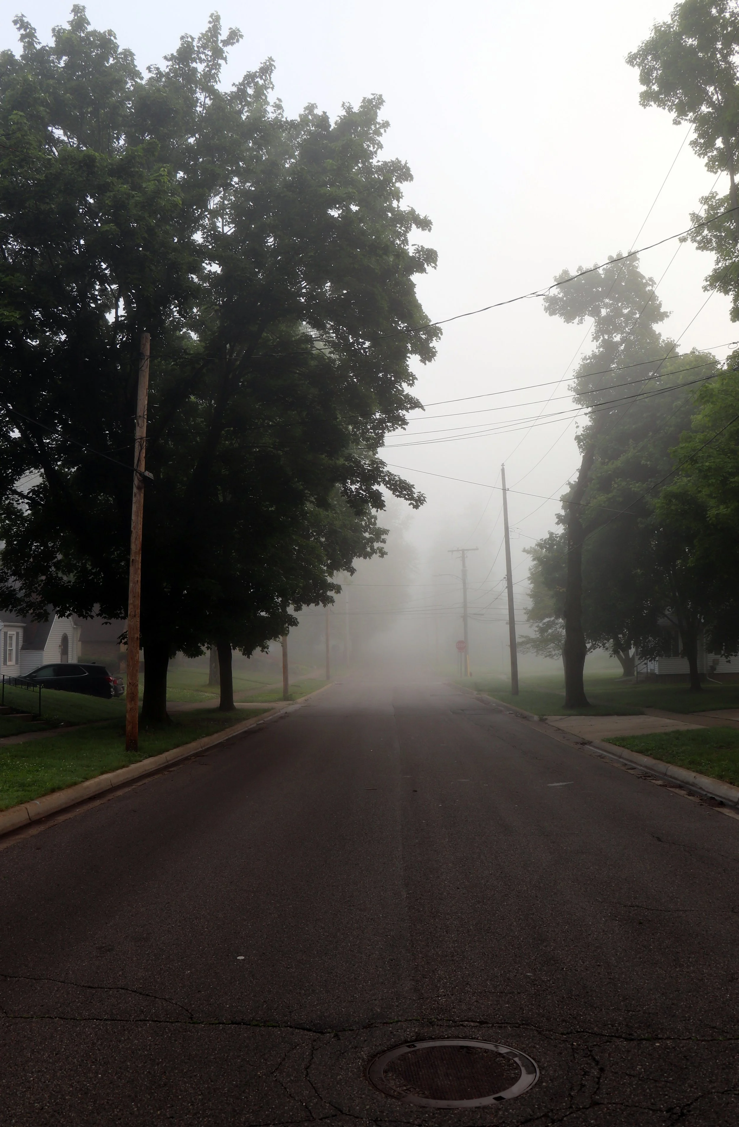 Moody street photography featuring low visibility and heavy fog in Marshall, Michigan.