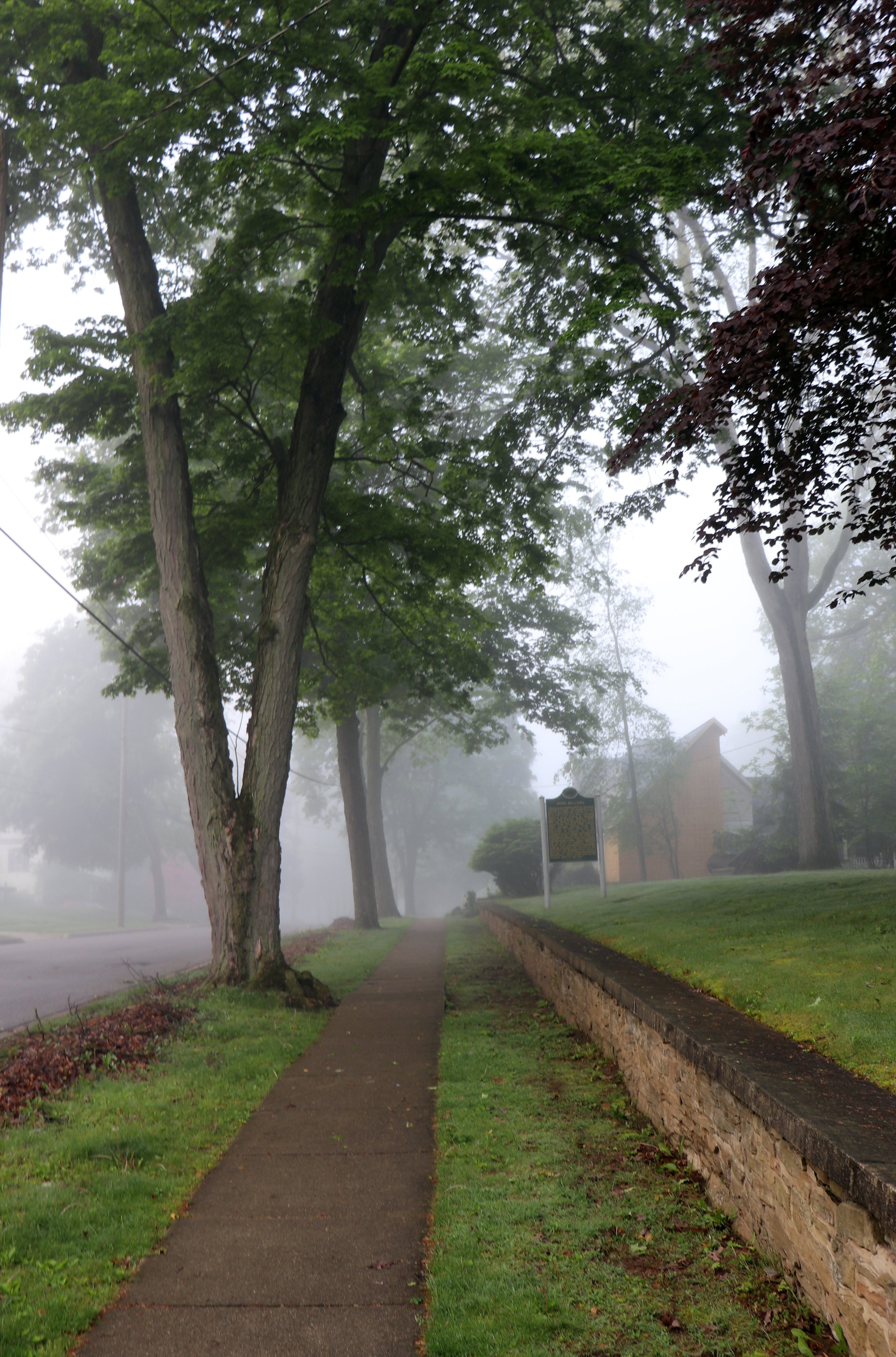 Moody street photography featuring low visibility and heavy fog in Marshall, Michigan.