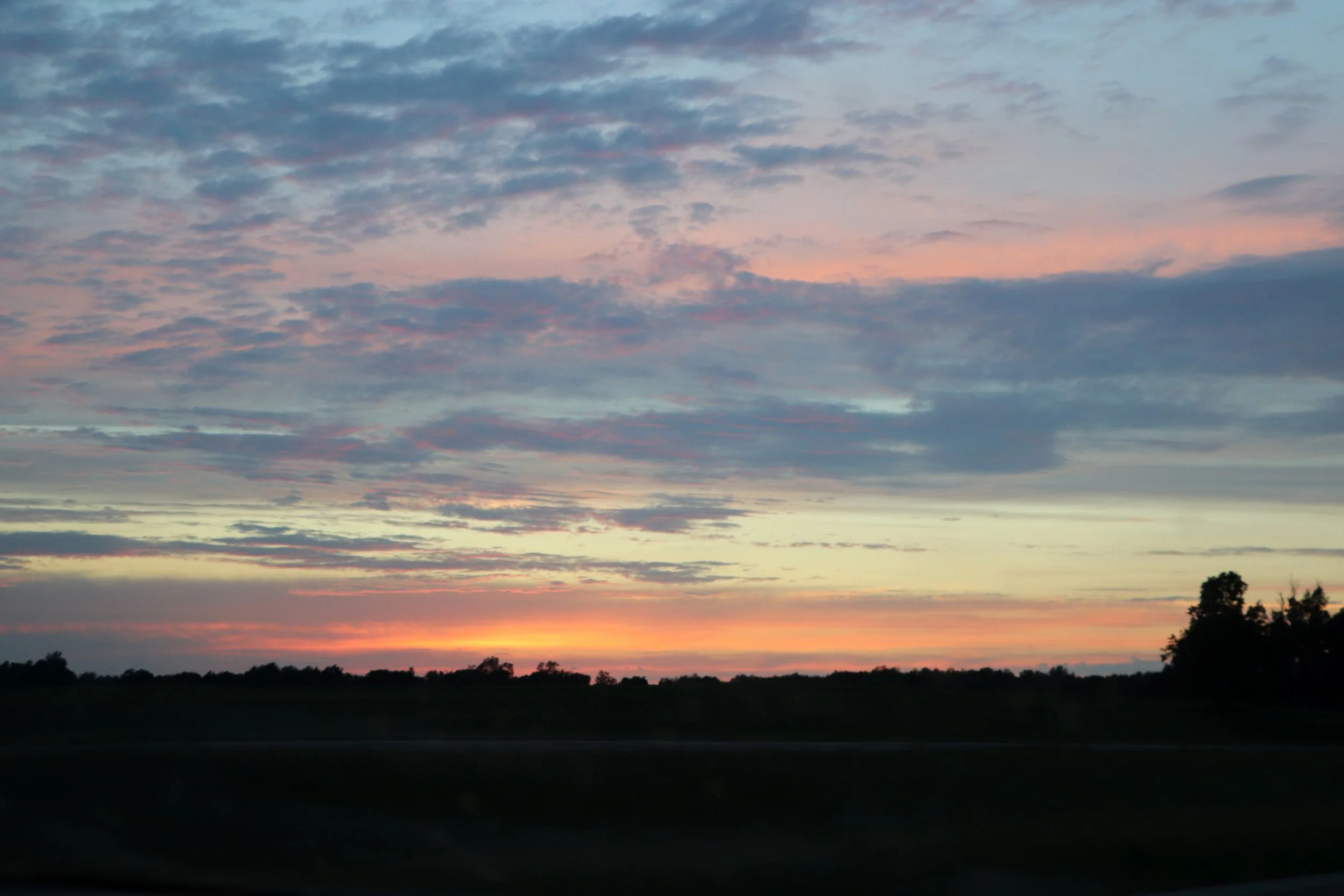 IMG_0021.JPG