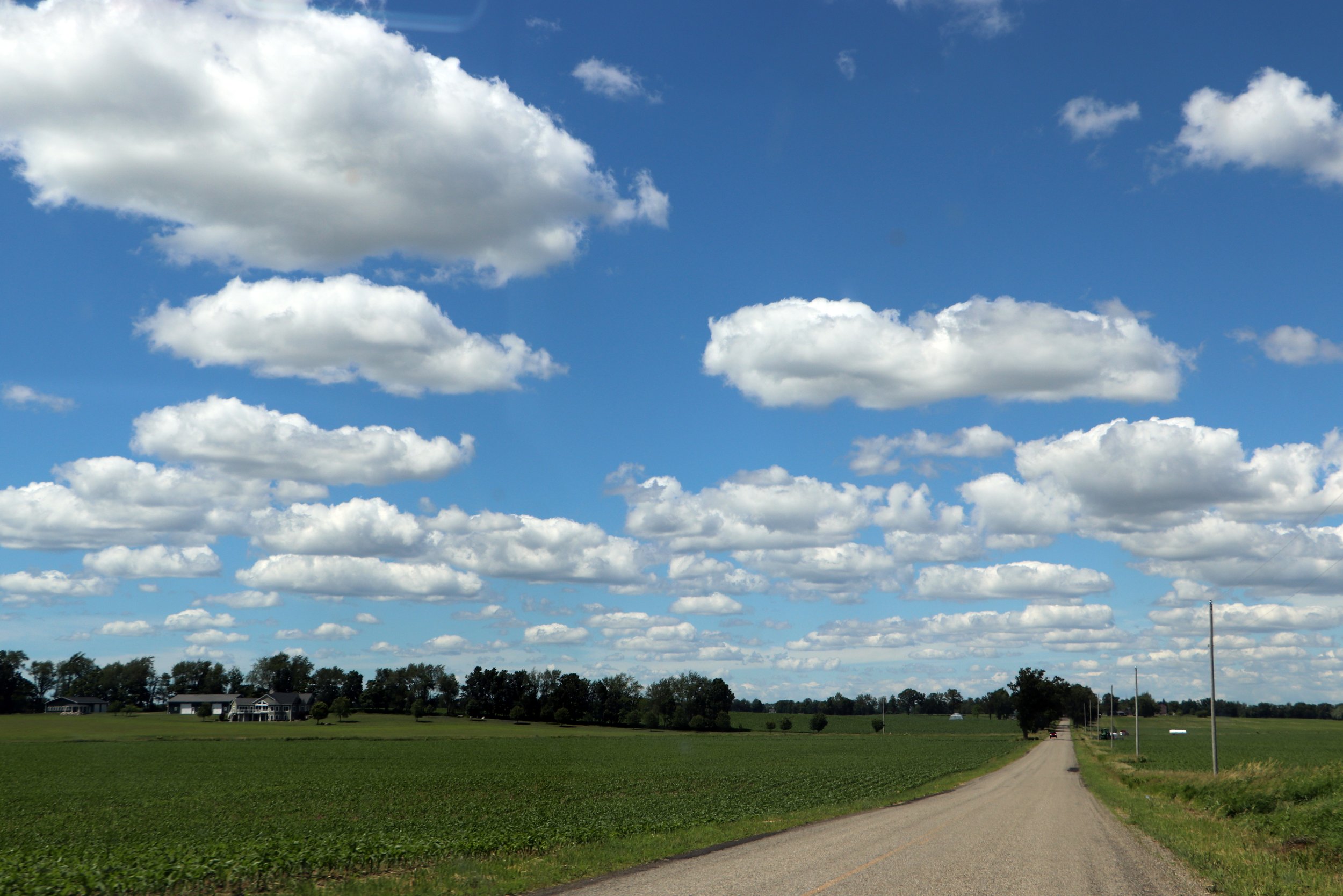 A Long Drive