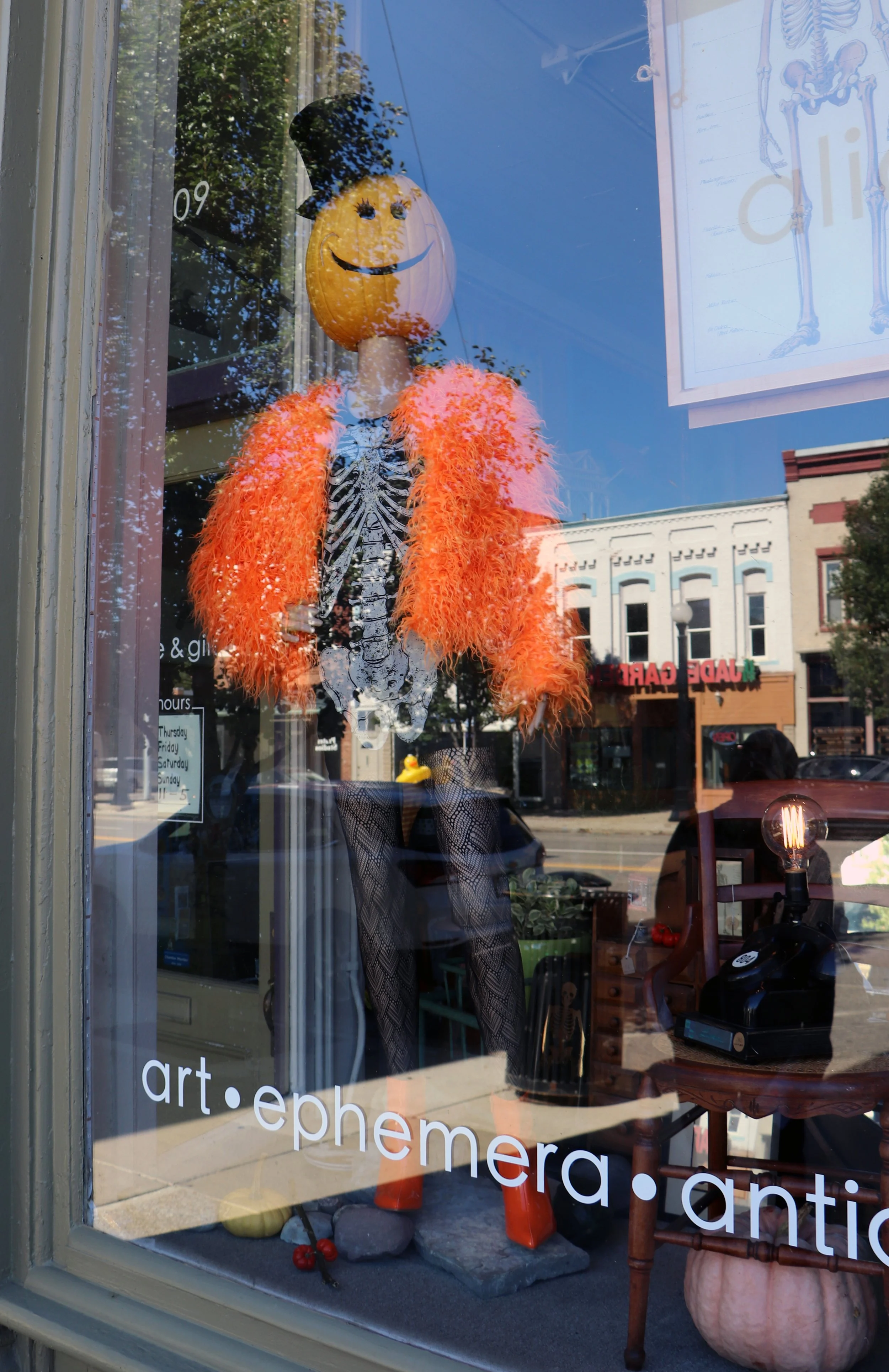 Pumpkin Skeleton in Marshall Michigan