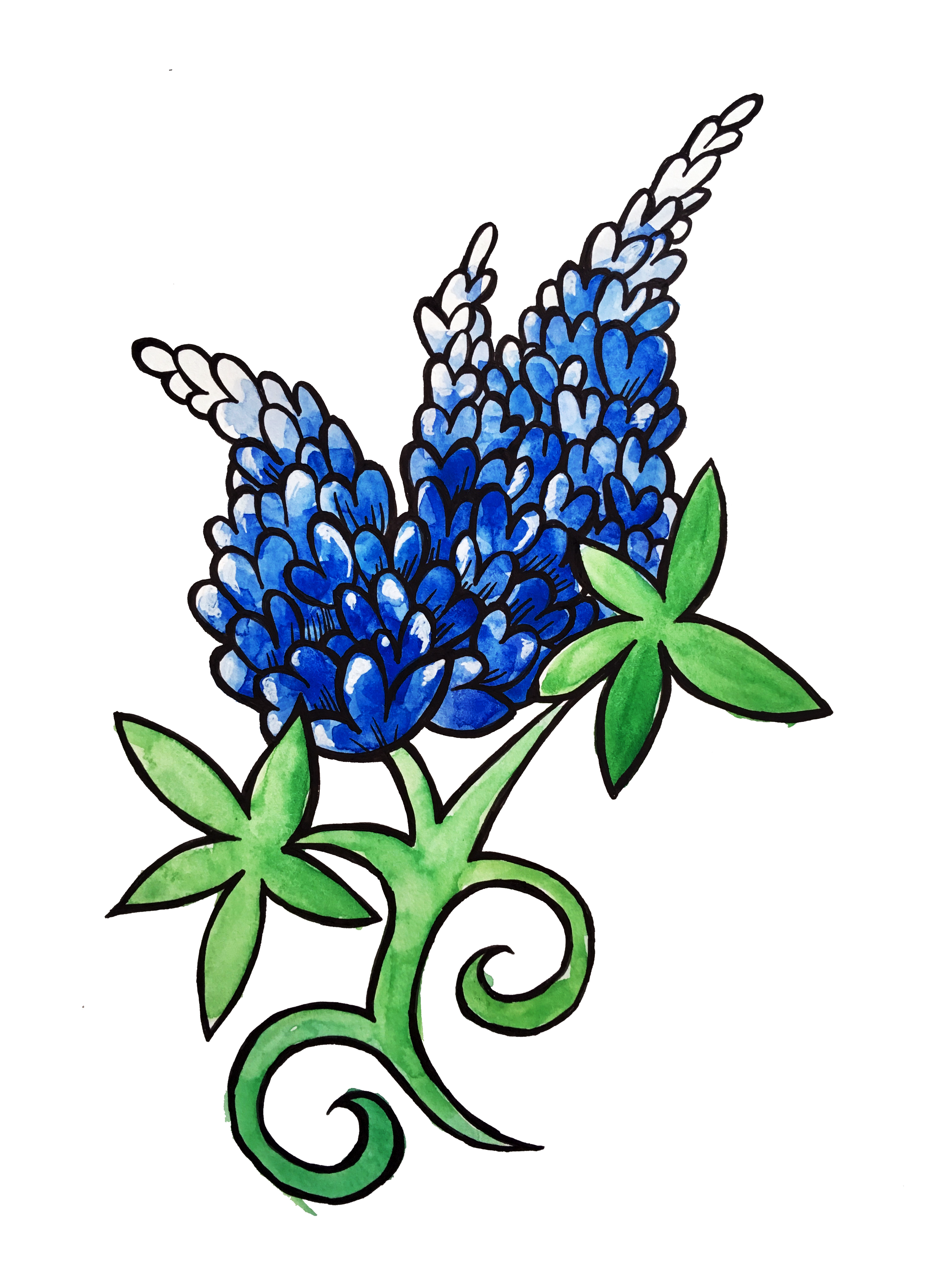 A watercolor illustration of a blue hyacinth flower with green leaves and a curling stem.